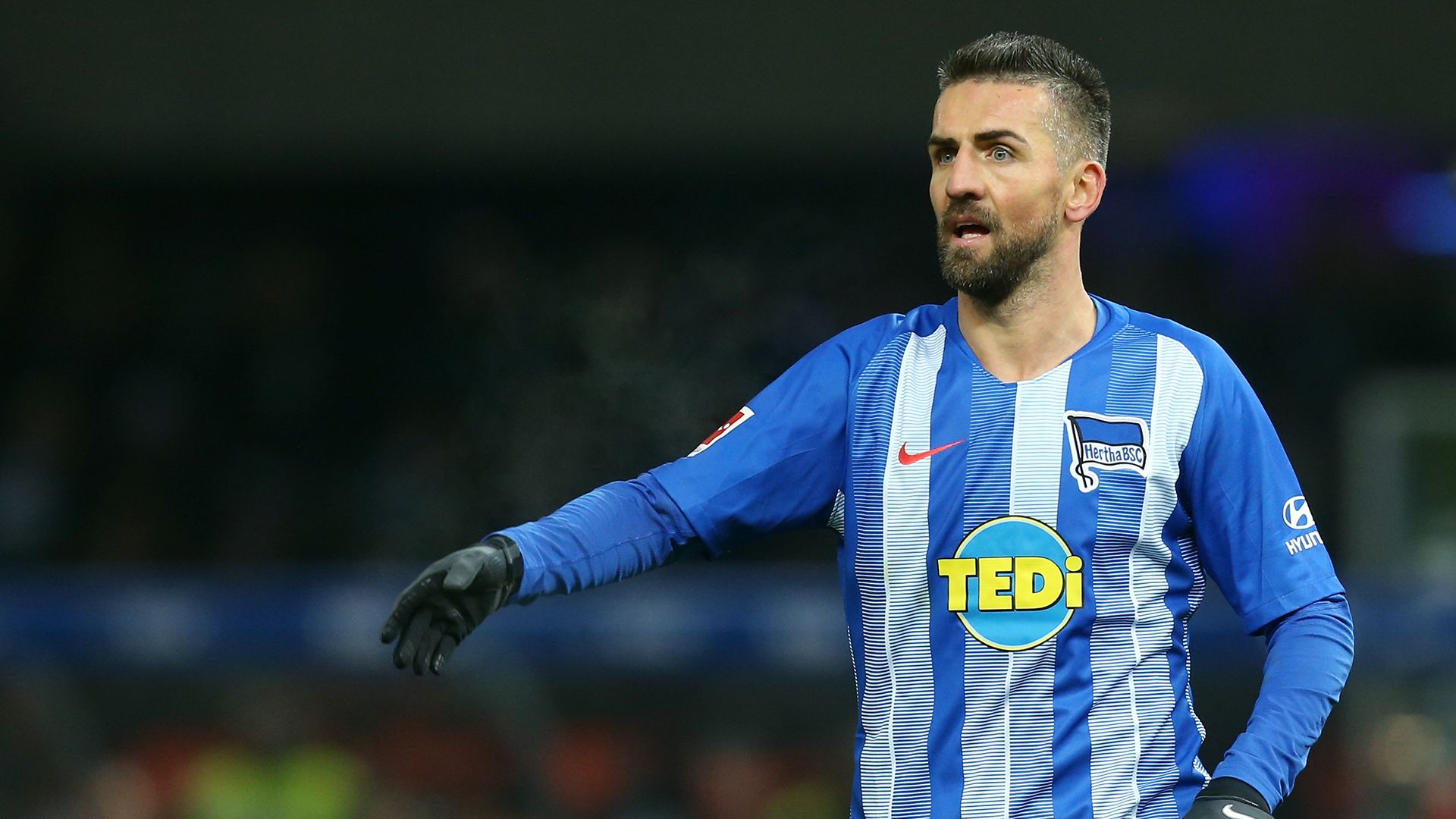 Vedad Ibisevic Hertha Berlin 2018-19 Bundesliga