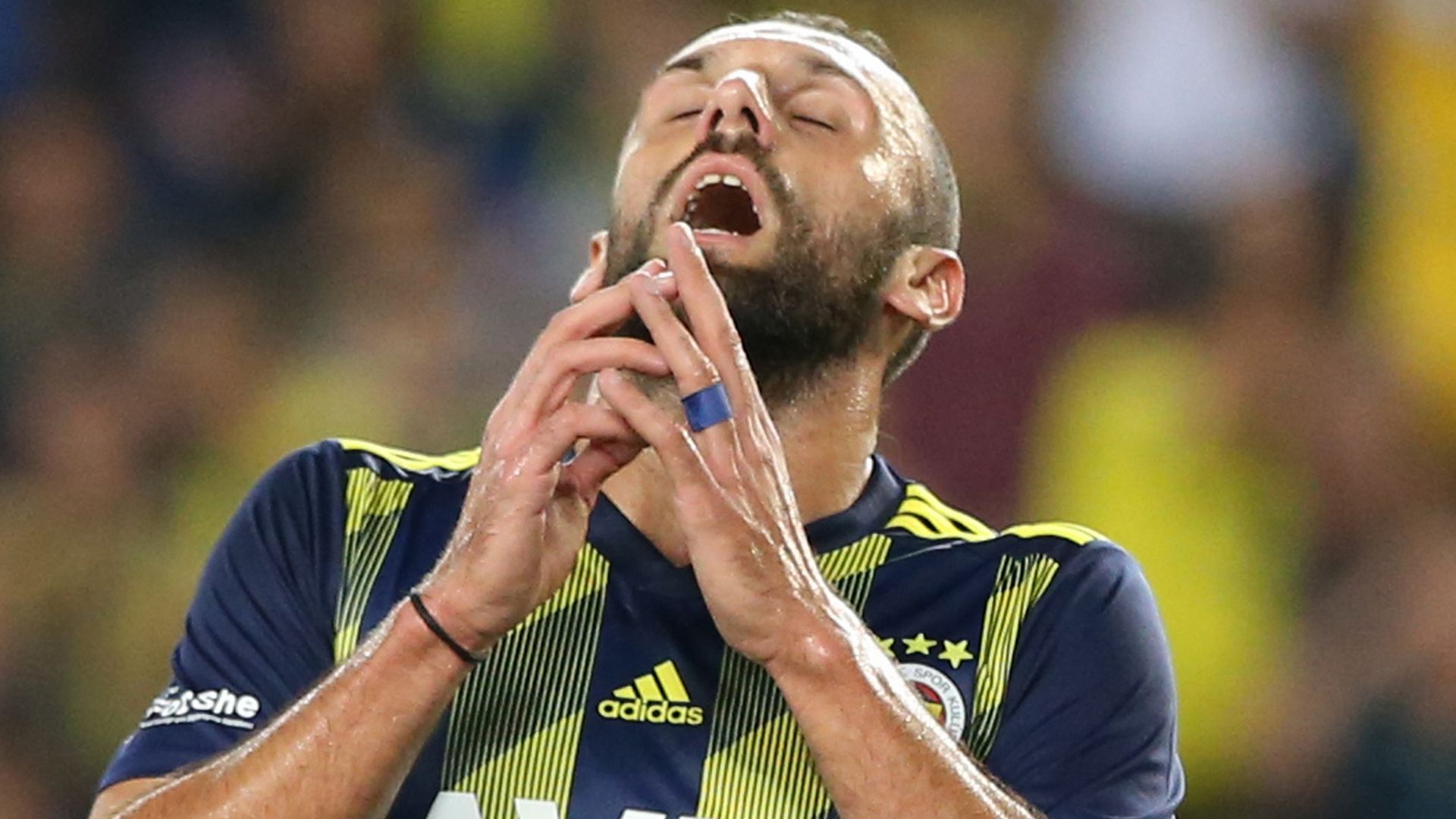 Vedat Muriqi Fenerbahce