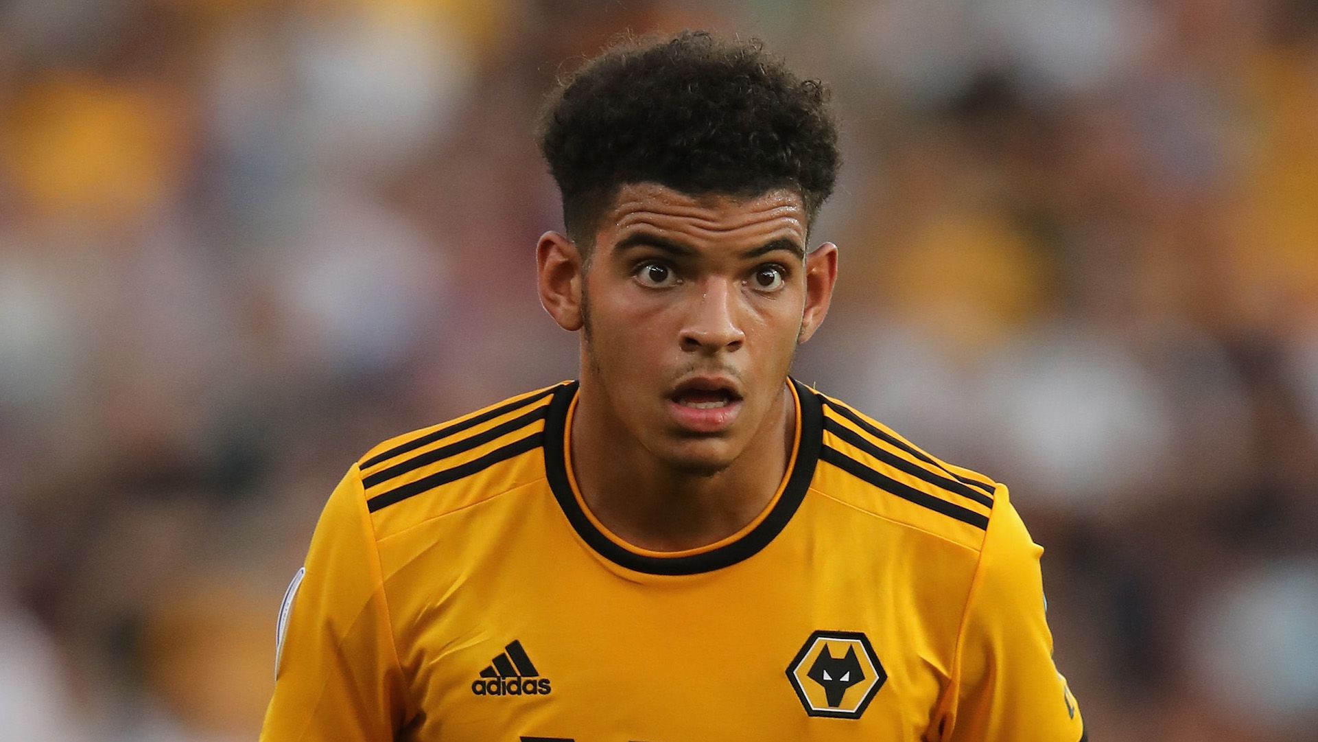 Morgan Gibbs-White - Wolverhampton