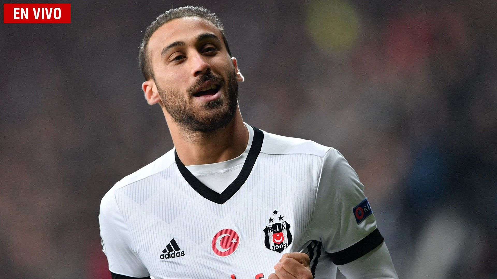 Cenk Tosun en vivo