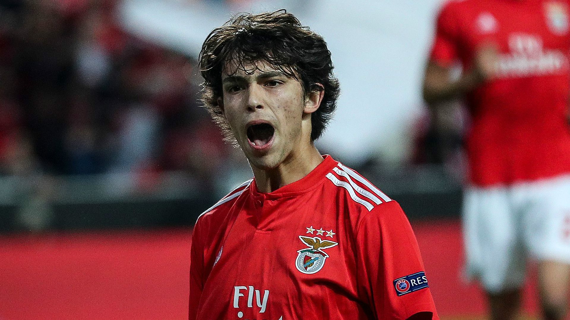 Joao Felix Benfica 2018-19