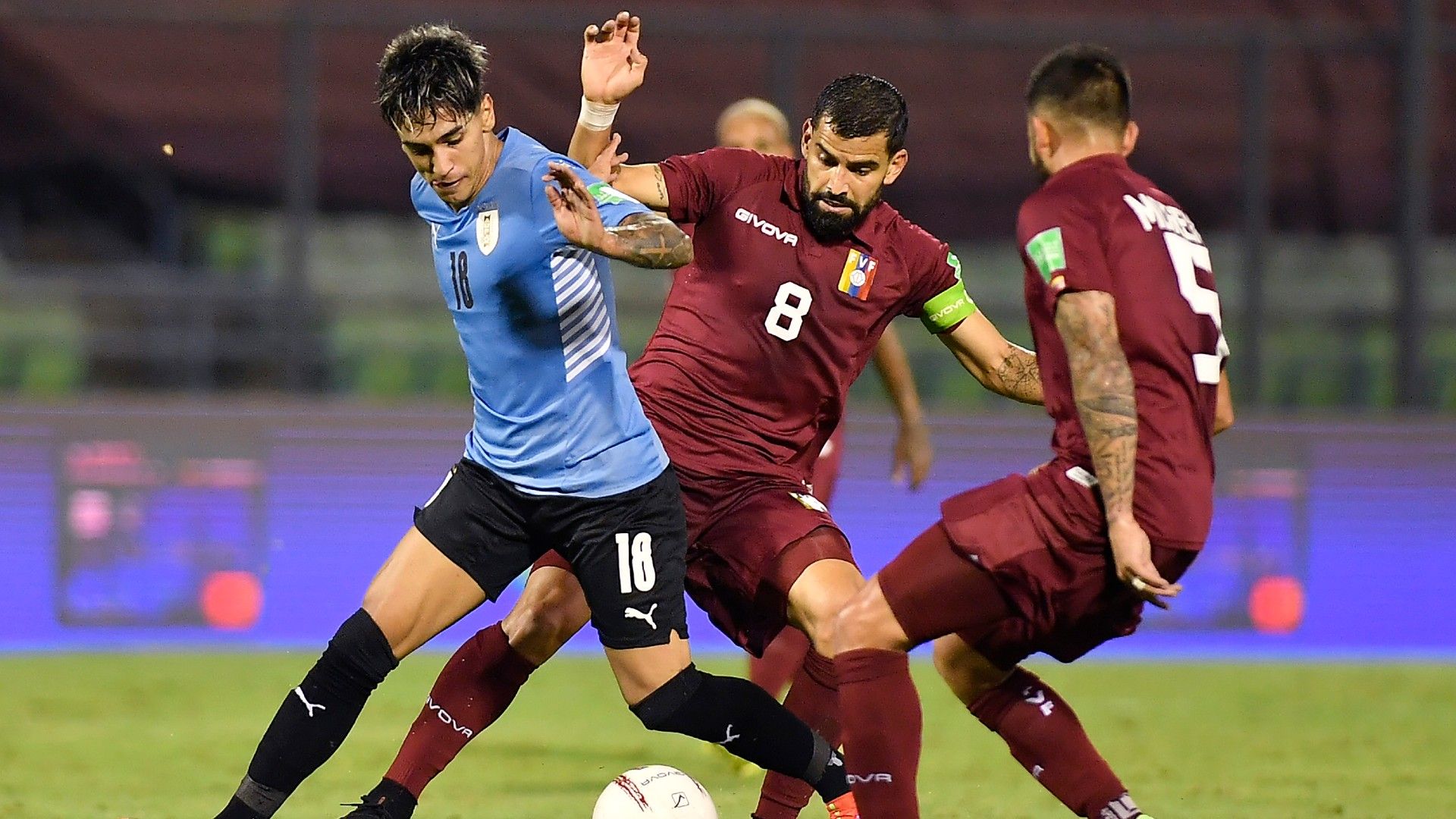 Tomás Rincón Venezuela