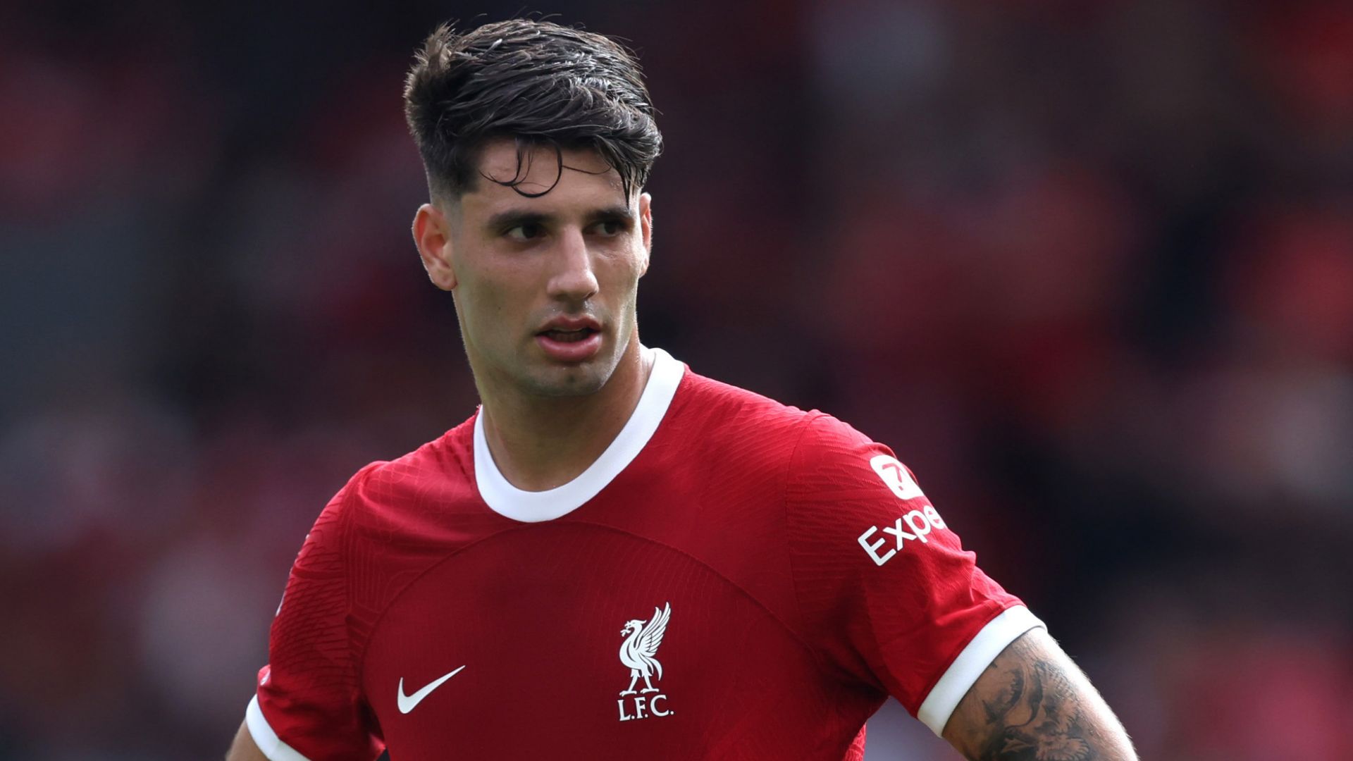 Dominik Szobozslai Liverpool 2023-24