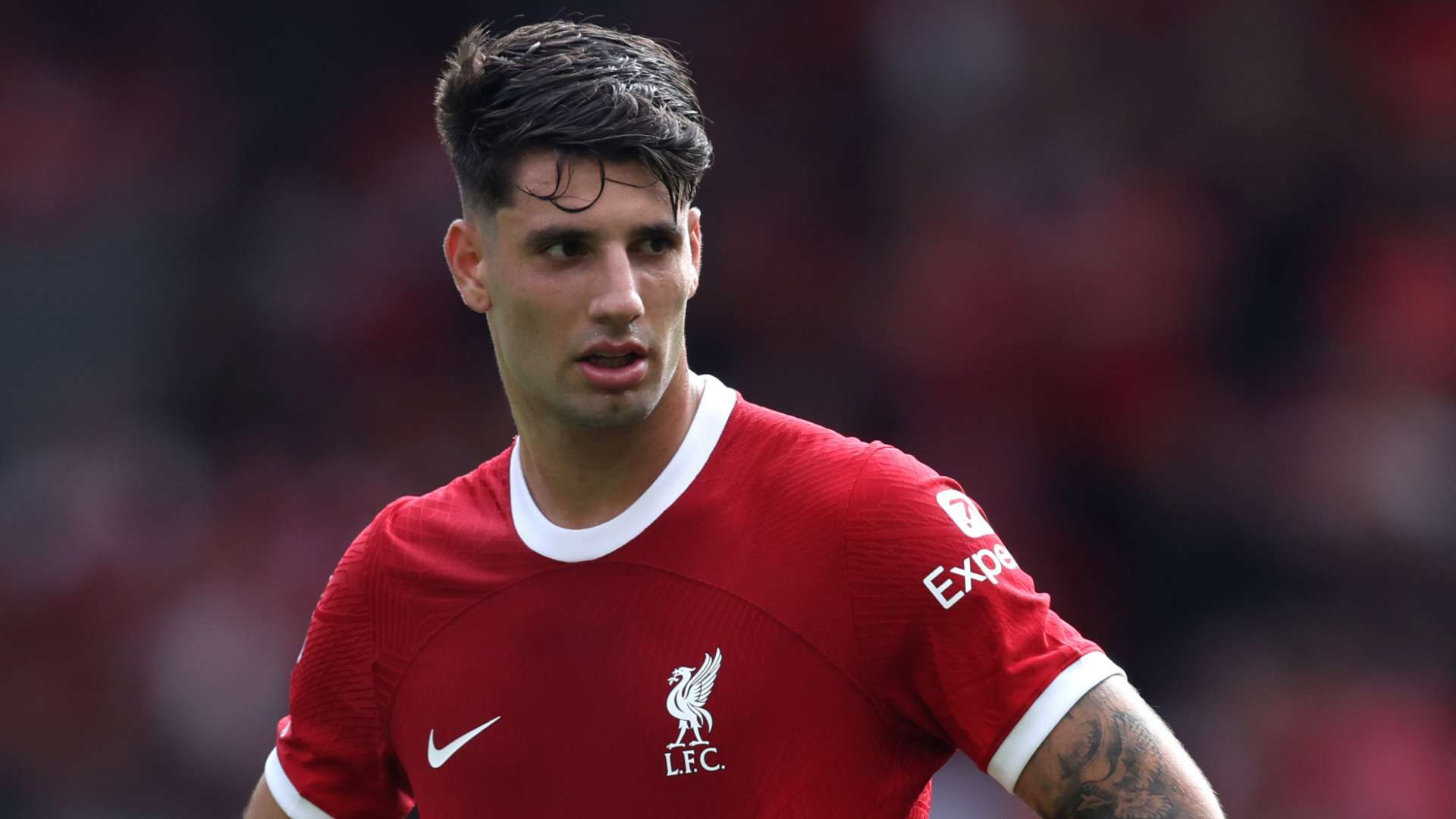 Dominik Szobozslai Liverpool 2023-24