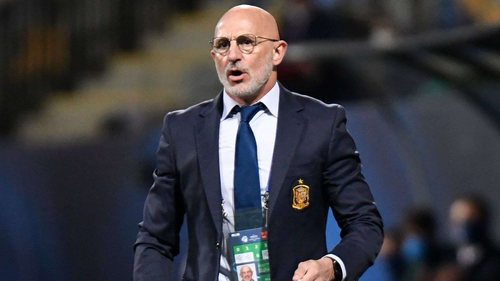 Luis de la Fuente España