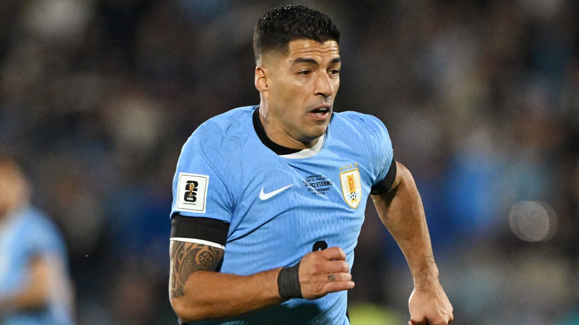 suarez