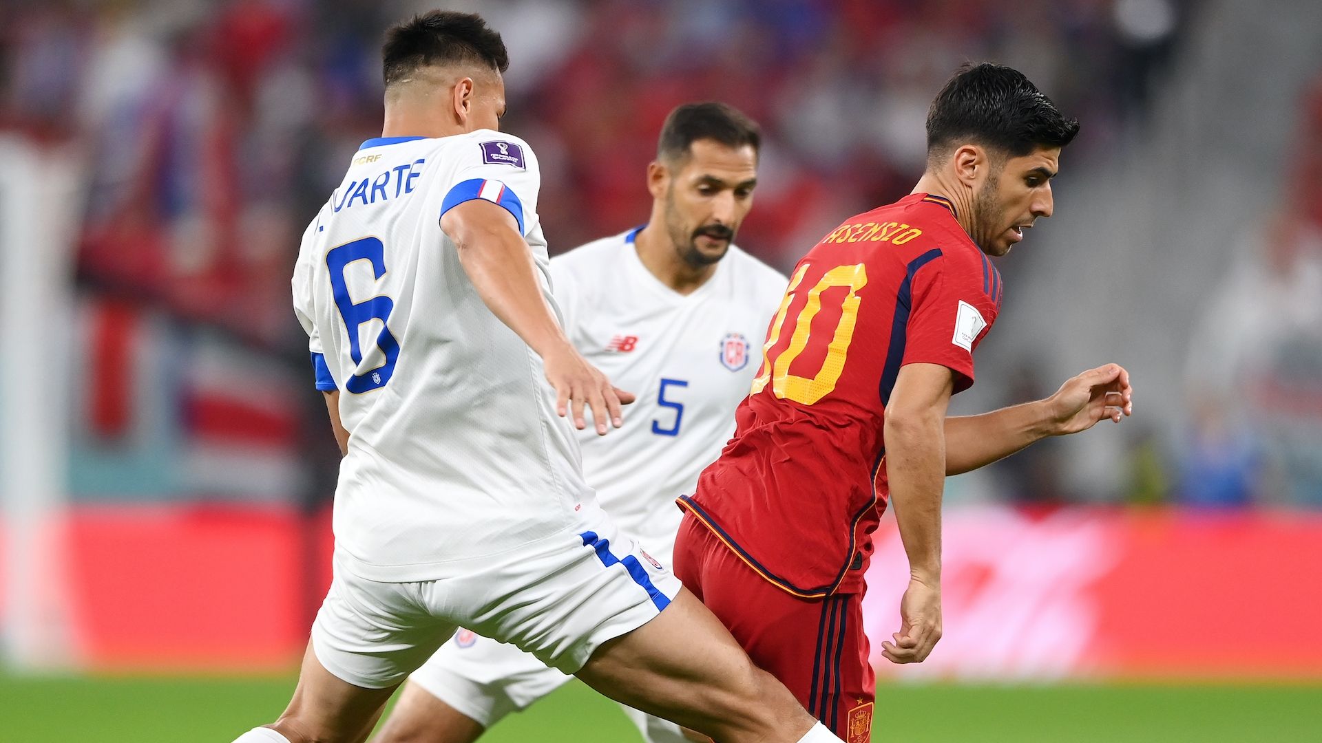 Marco Asensio Spain Costa Rica World Cup Qatar 2022