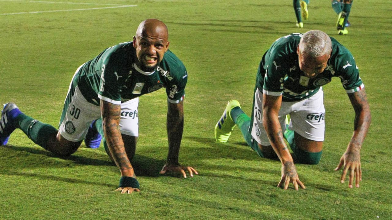 Felipe Melo Deyverson Palmeiras Novorizontino Paulista 26032019