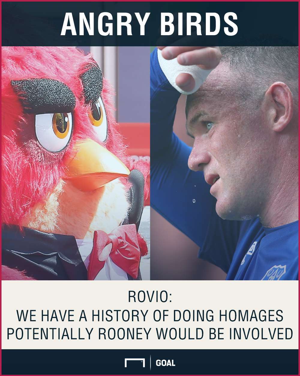 Angry Birds Wayne Rooney