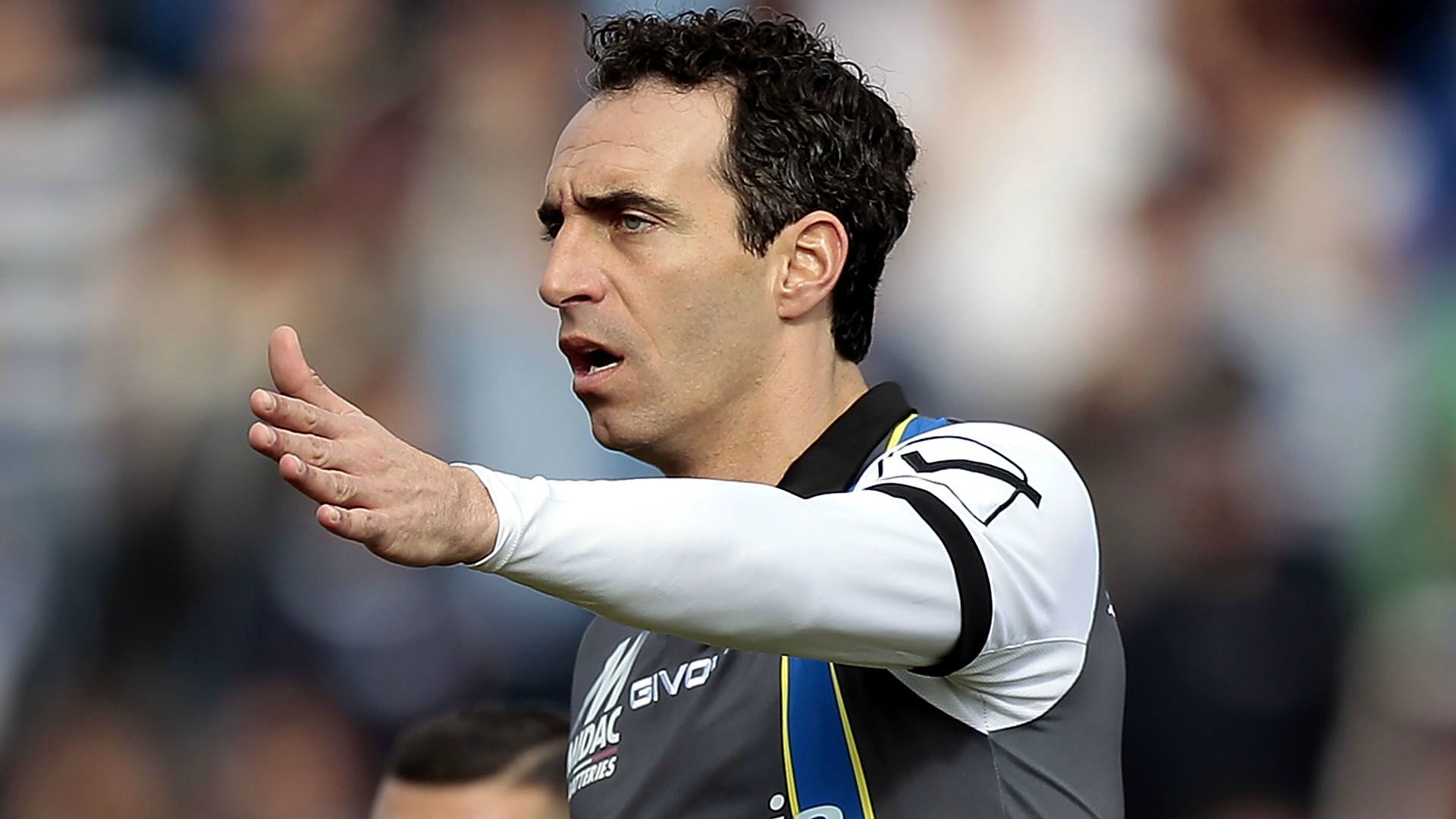 Dario Dainelli Chievo