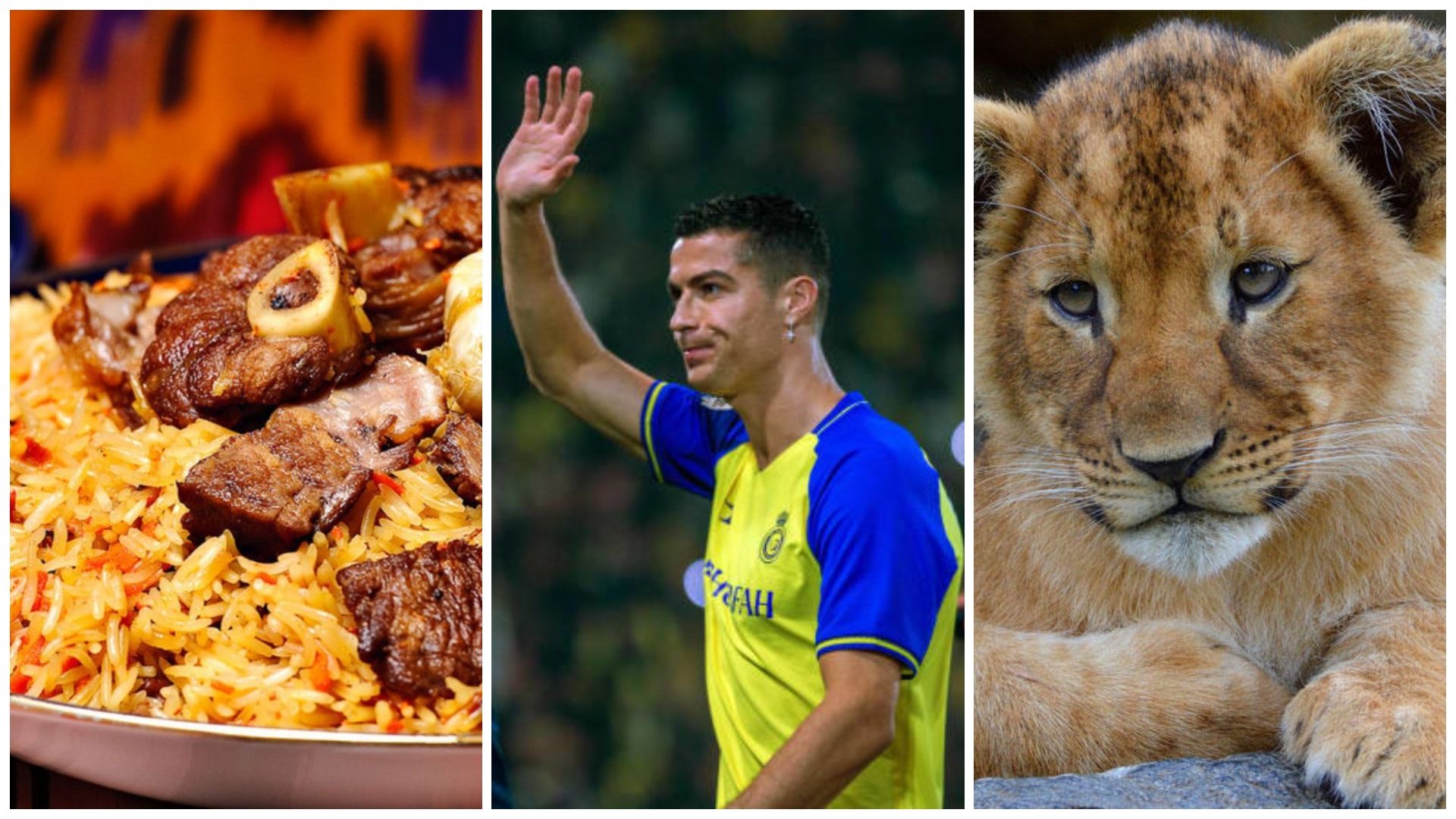 cristiano ronaldo in saudi arabia