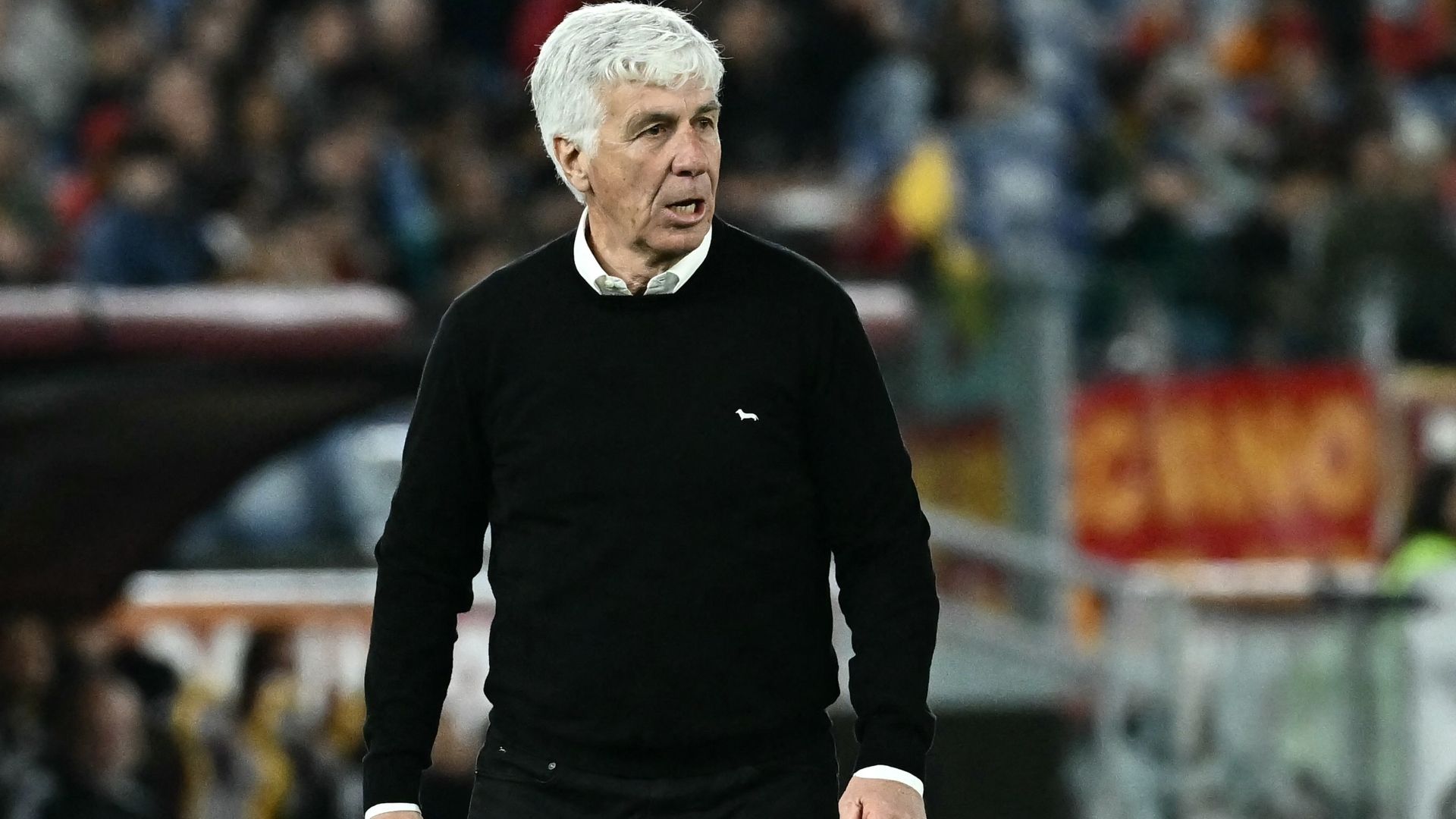 Gasperini Roma Pisa