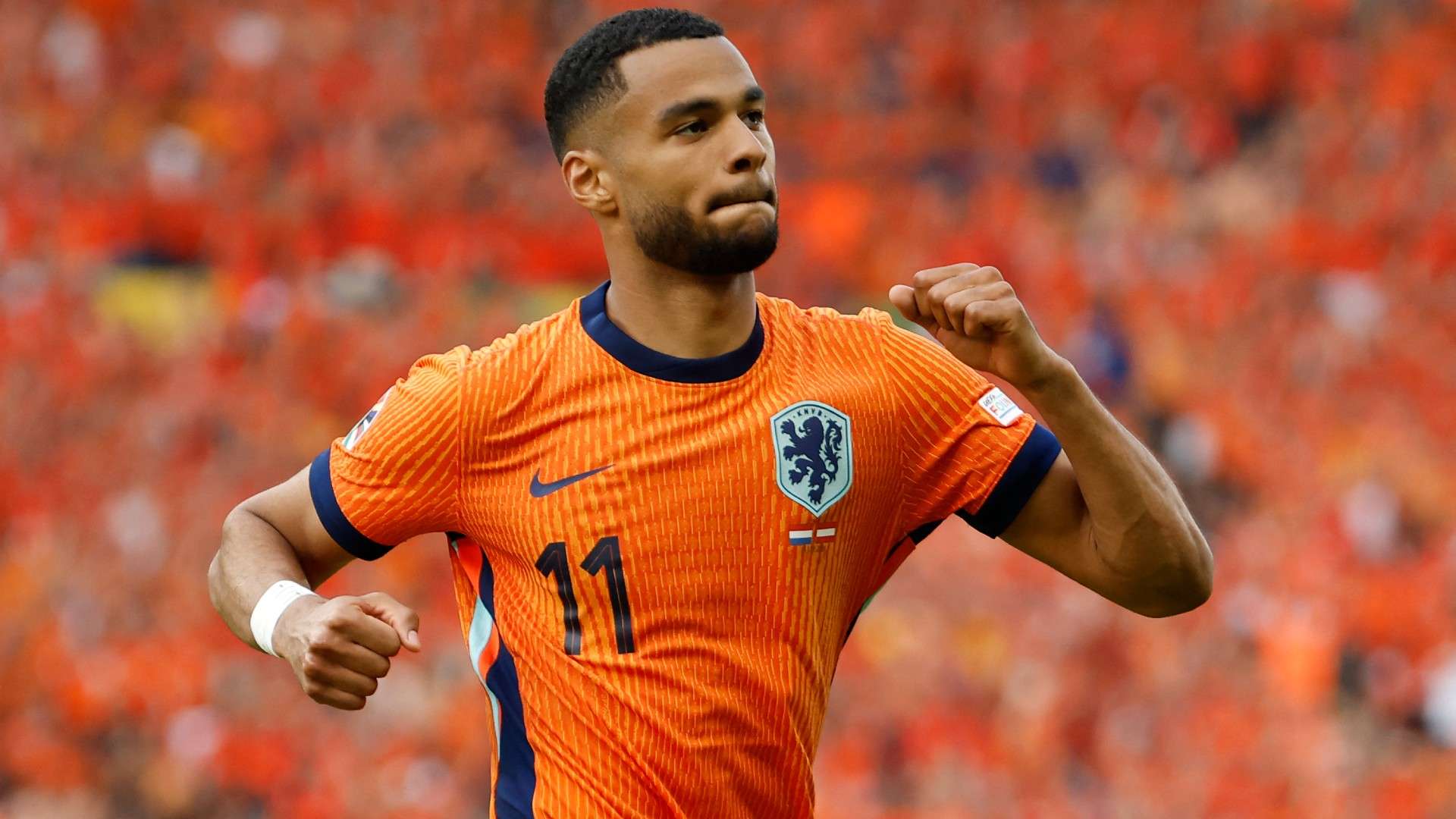 Netherlands' forward #11 Cody Gakpo celebrates scoring