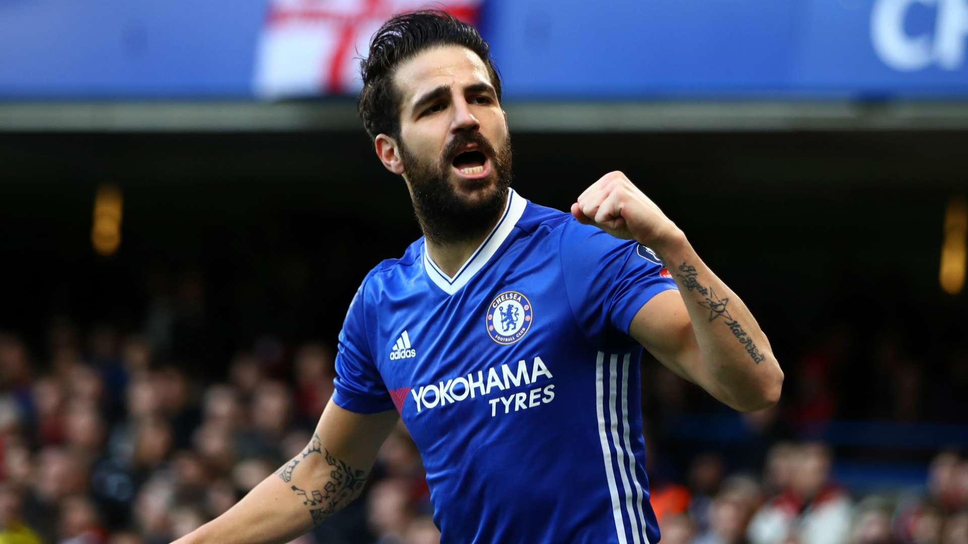 CescFabregas-cropped