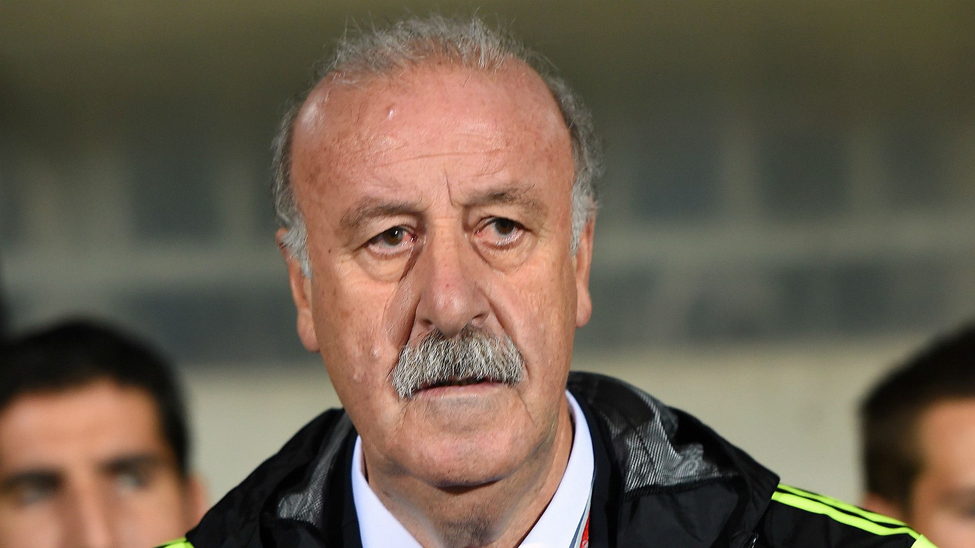 Luxembourg Spain Euro 2016 Vicente del Bosque 121014