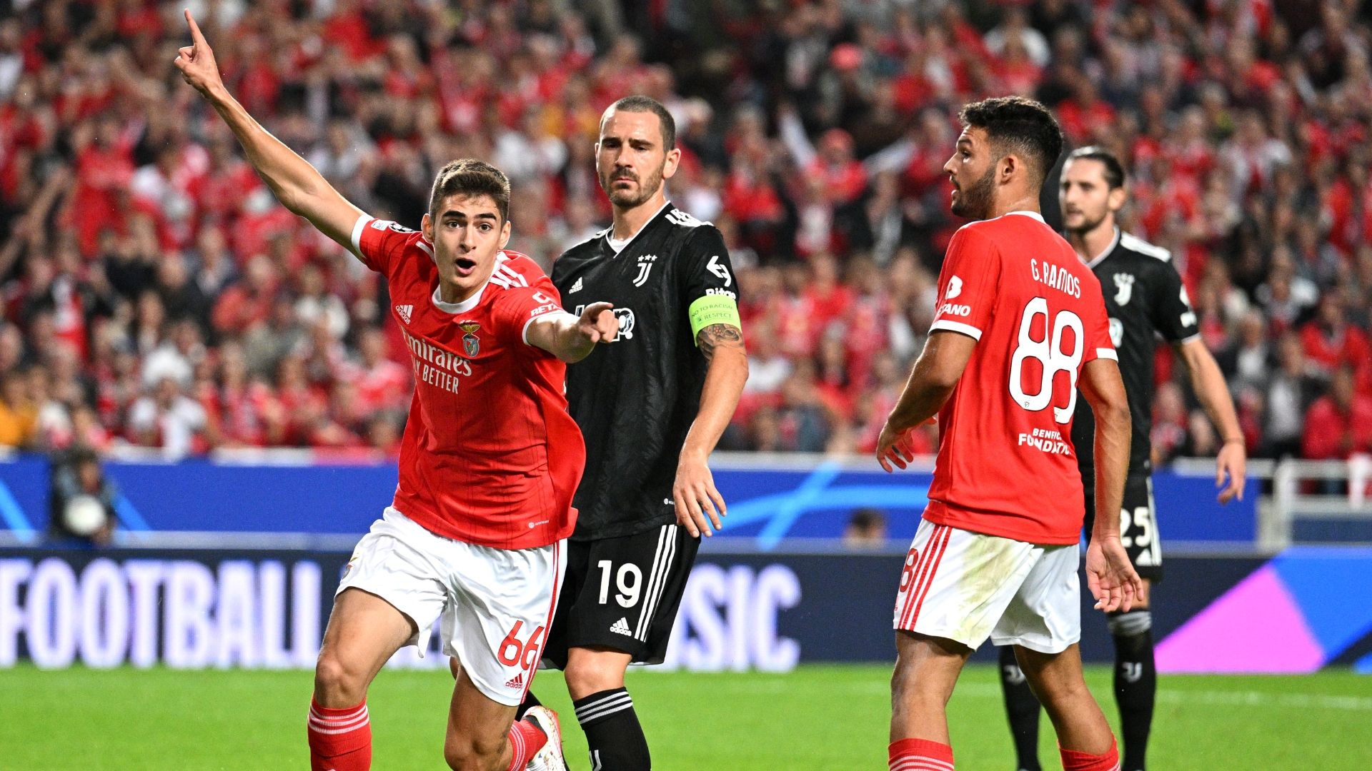 Benfica Juventus