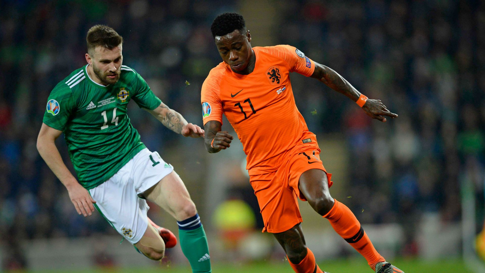 Northern Ireland v Netherlands 11162019