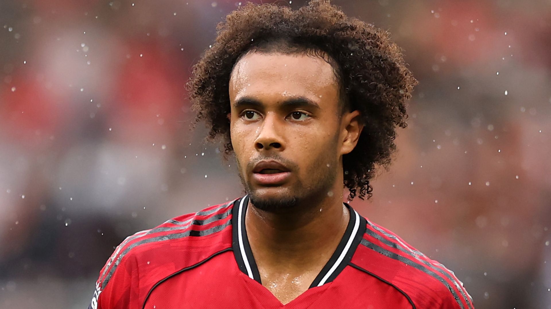 Zirkzee Manchester United