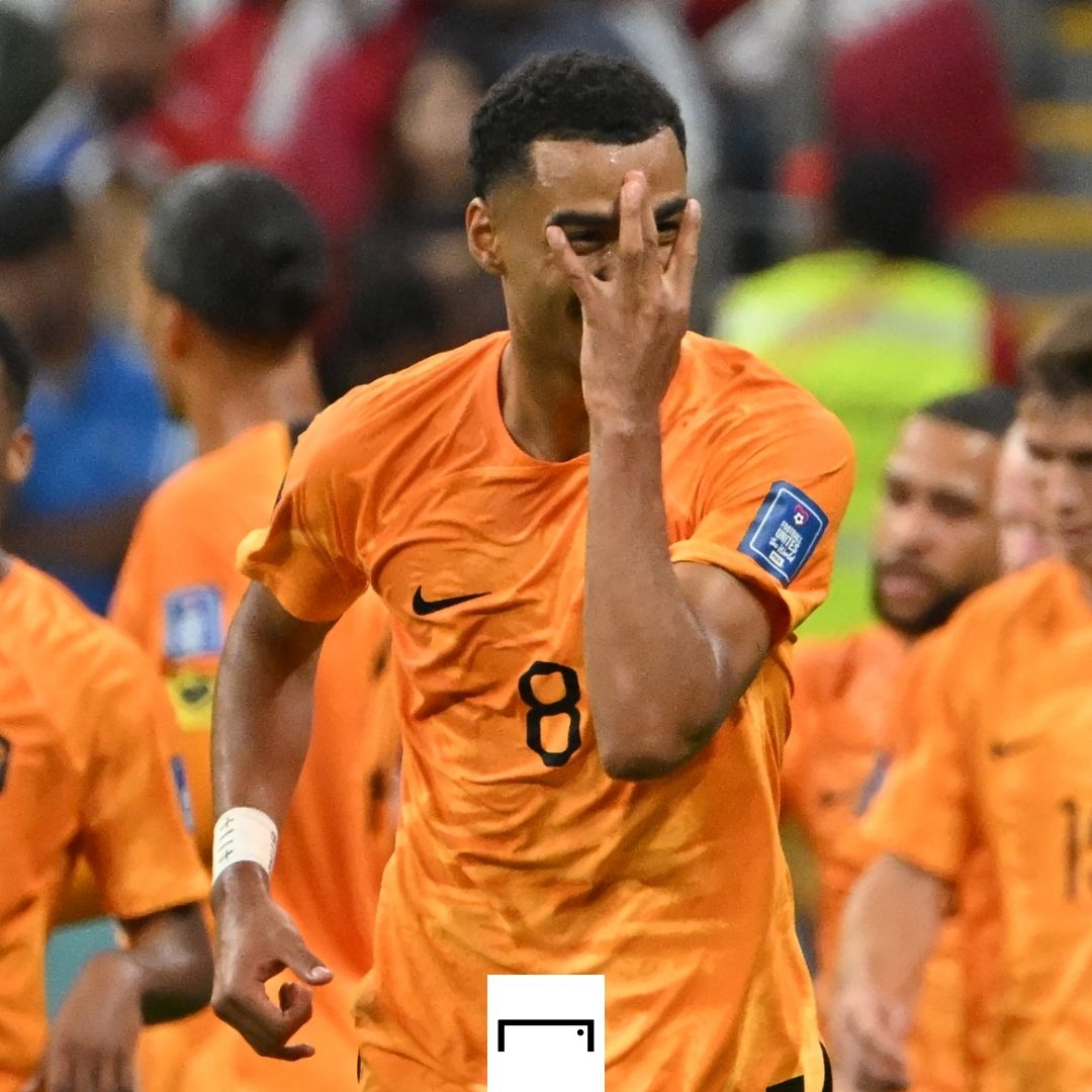 Cody Gakpo mask Netherlands 2022 World Cup GFX