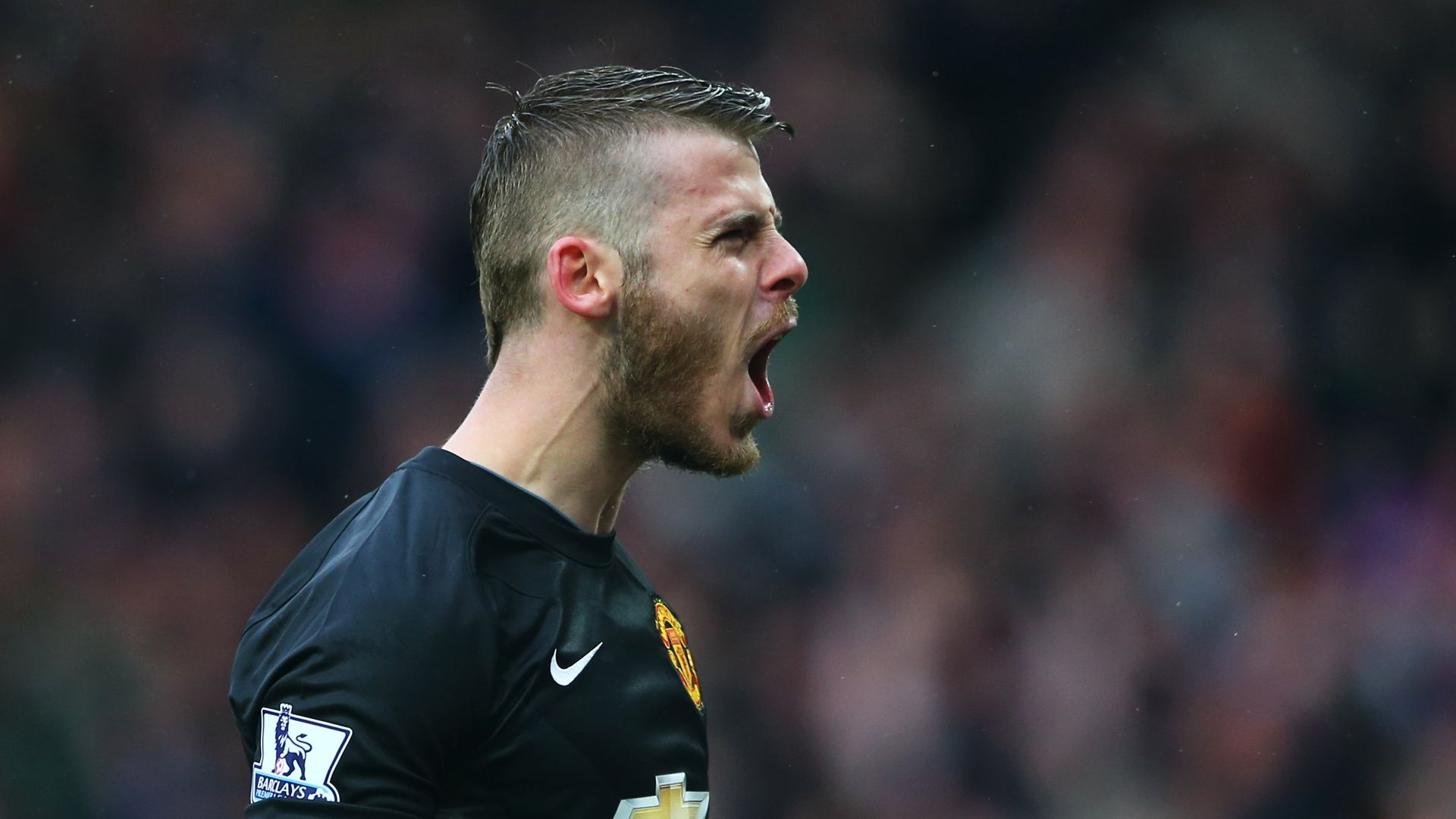 David De Gea