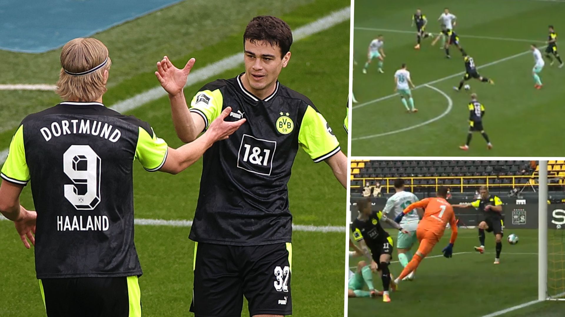 Reyna Haaland BVB GFX