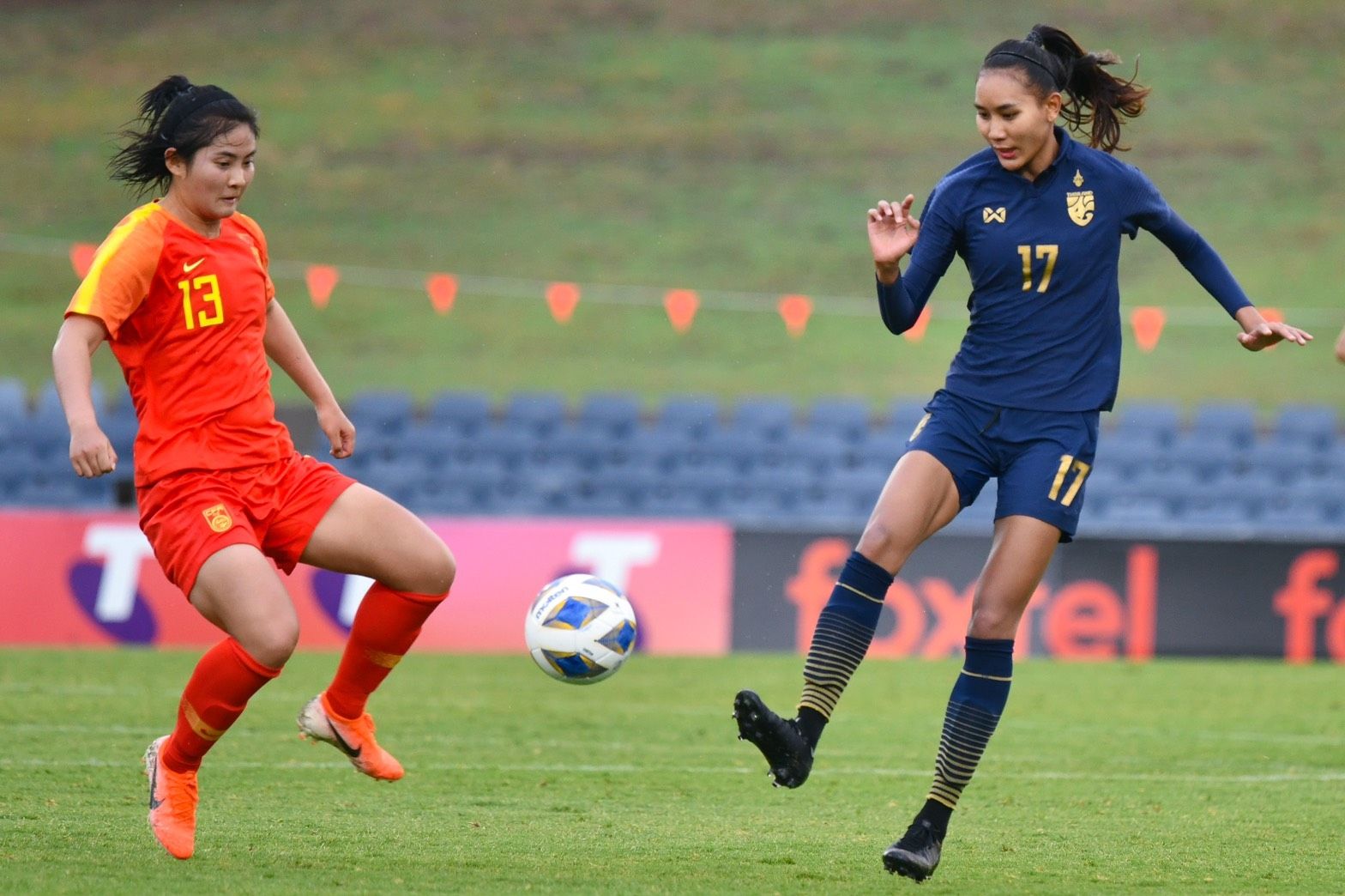 ชบาแก้ว