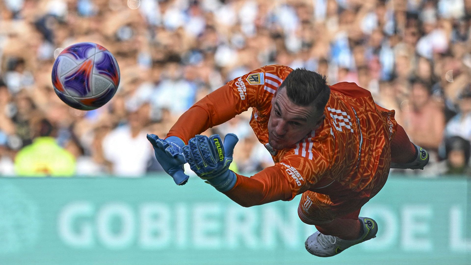 Franco Armani River 2022