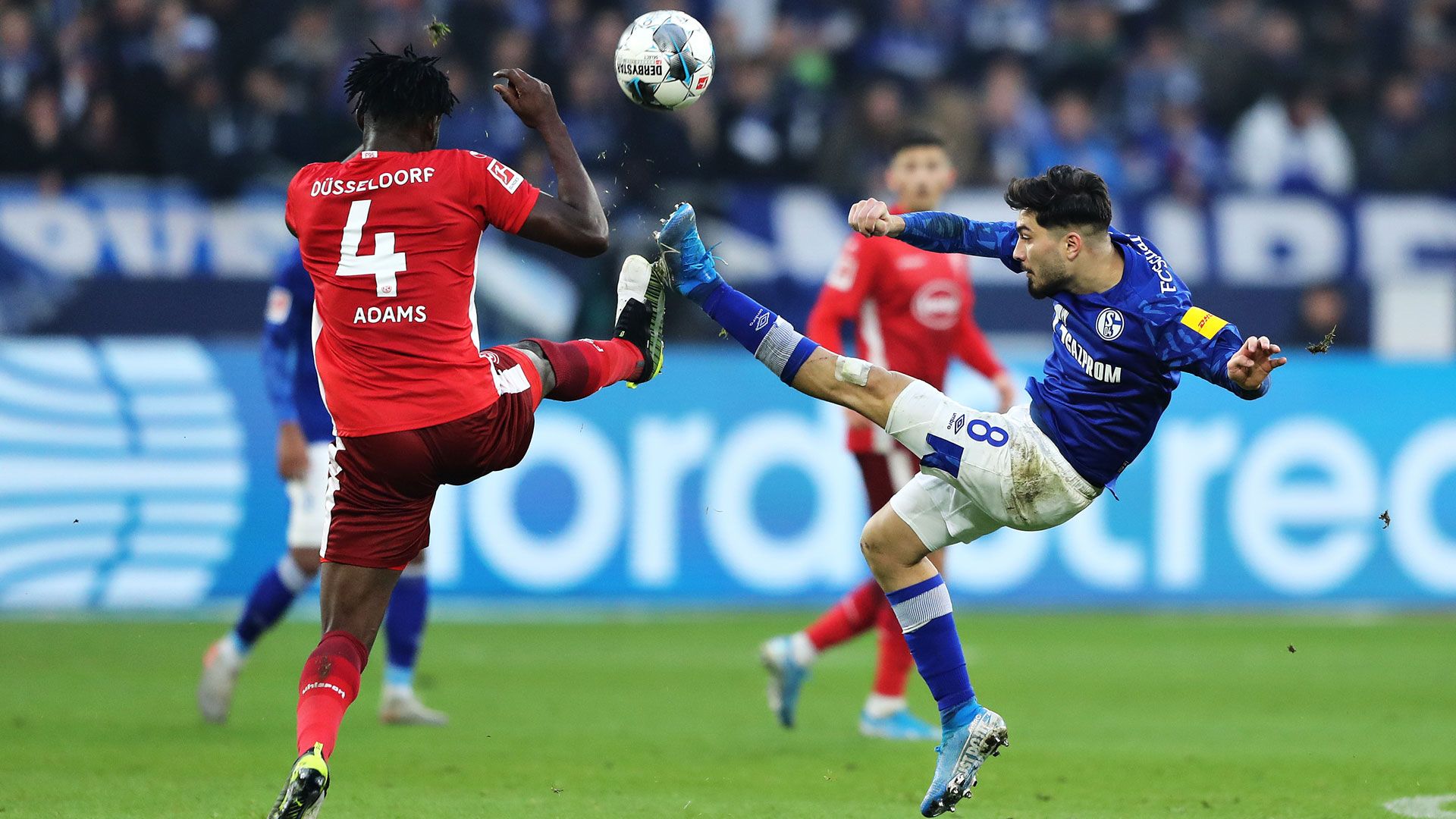Schalke Düsseldorf