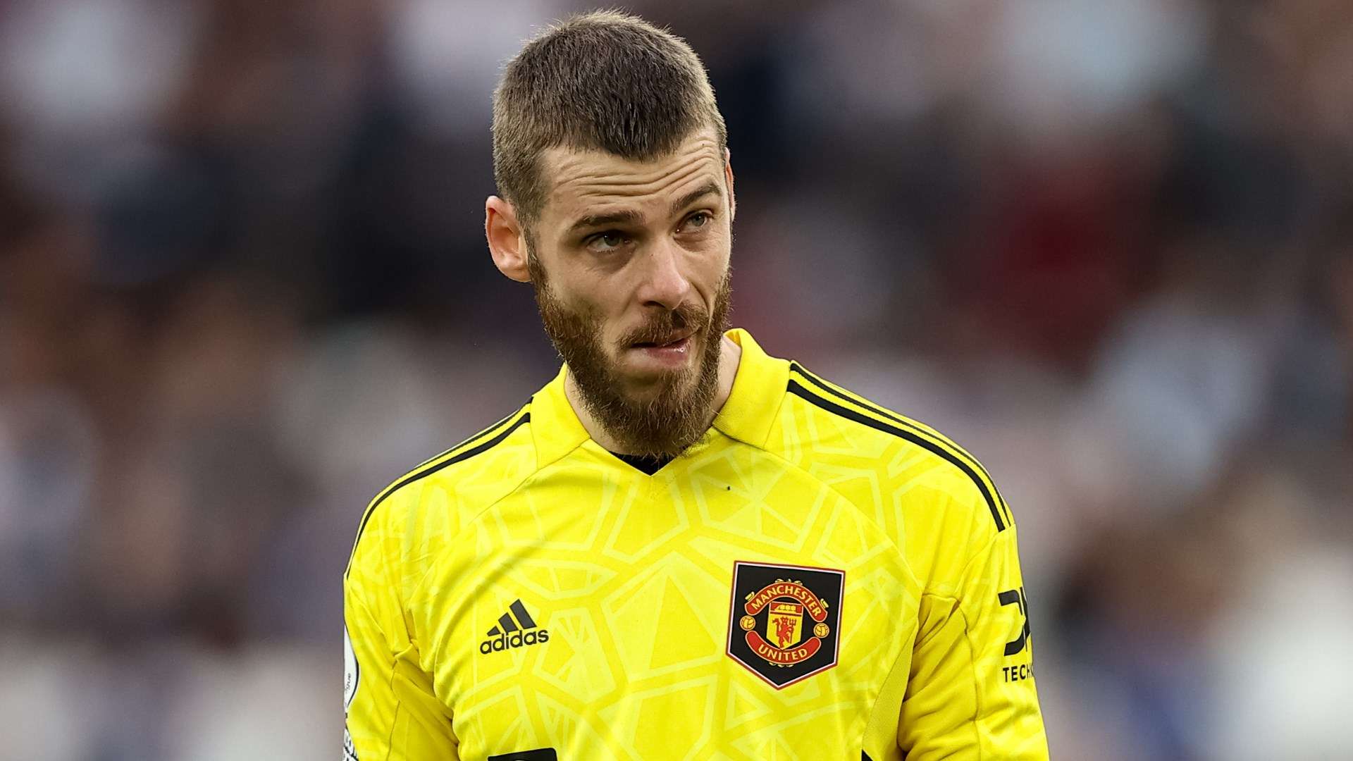 Will Newcastle move for ex-Man Utd goalkeeper David de Gea? Eddie Howe  addresses transfer rumours as Magpies boss confirms Nick Pope will be out  injured for at least four months | Goal.com