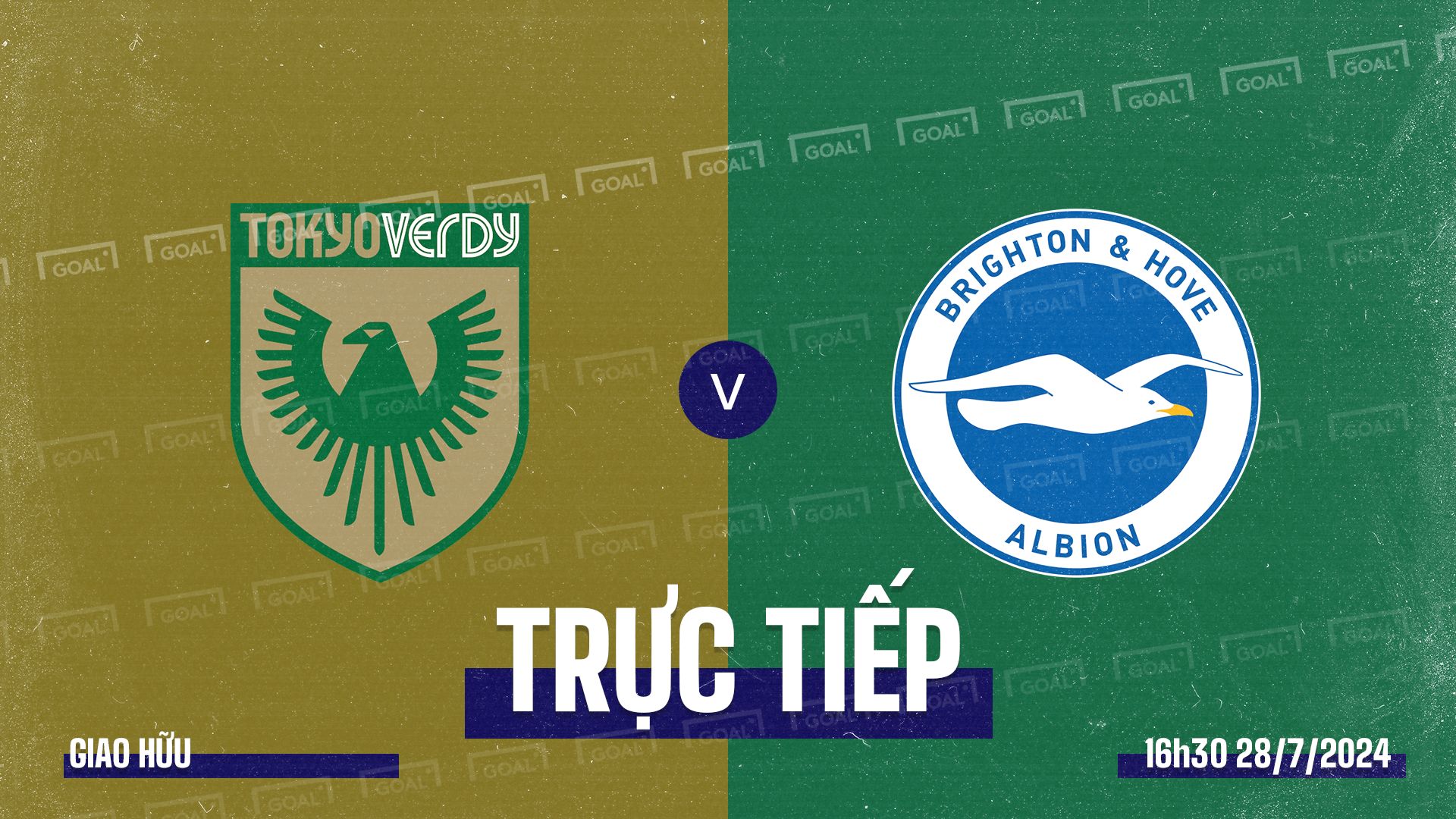 Tokyo Verdy vs Brighton 2024 GFX