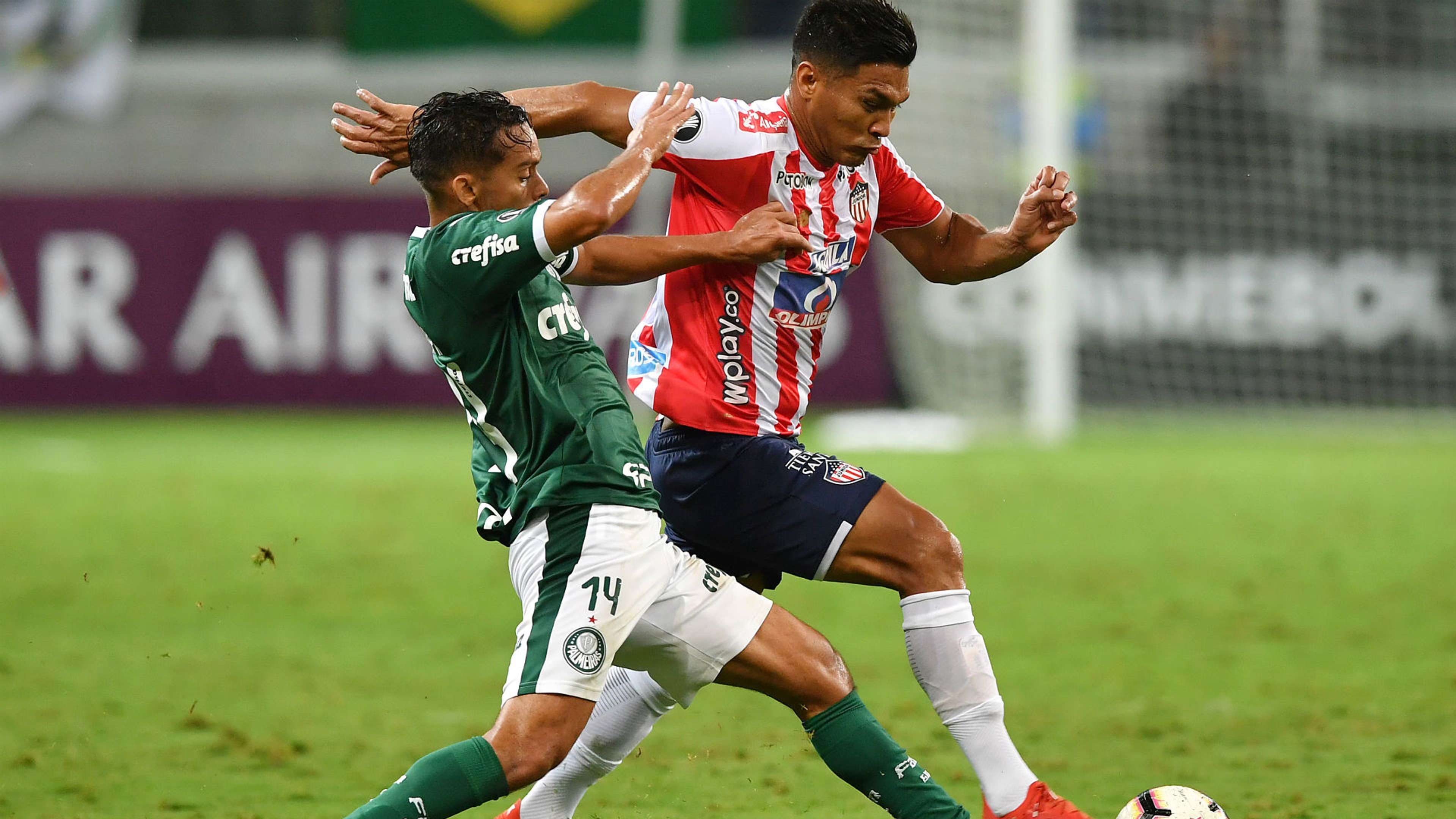 Teófilo Gutiérrez Junior - Palmerias Libertadores 2019