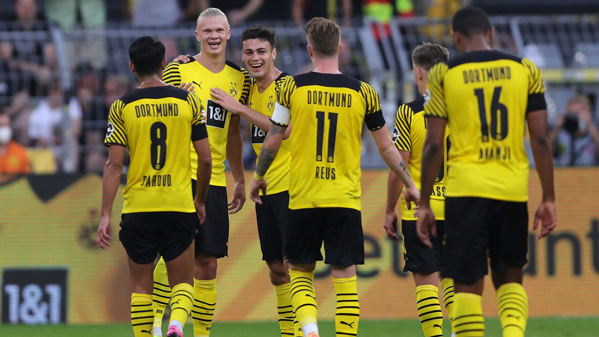 BVB Team