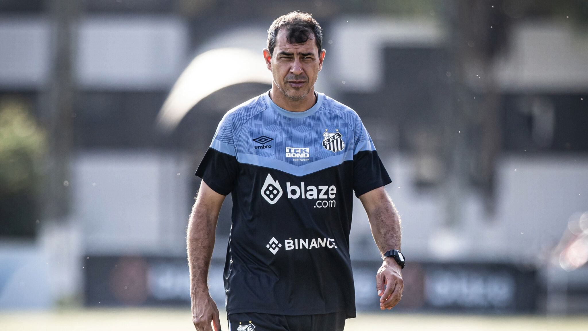 Carille - Santos 2024