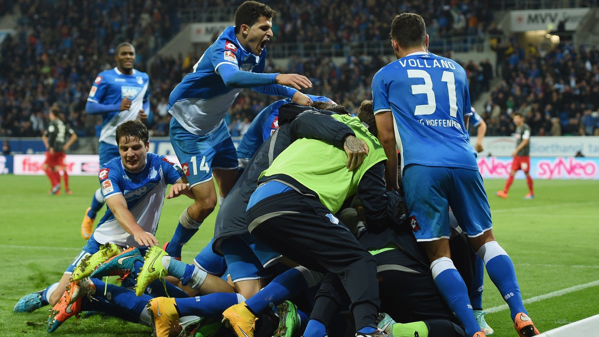 Hoffenheim Players celebrating Bundesliga