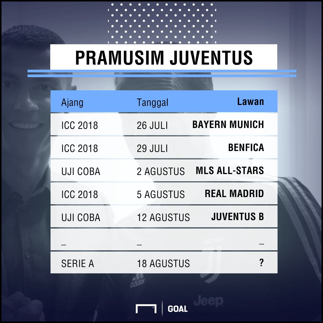 GFX Playing Surface Goal - Pramusim Juventus