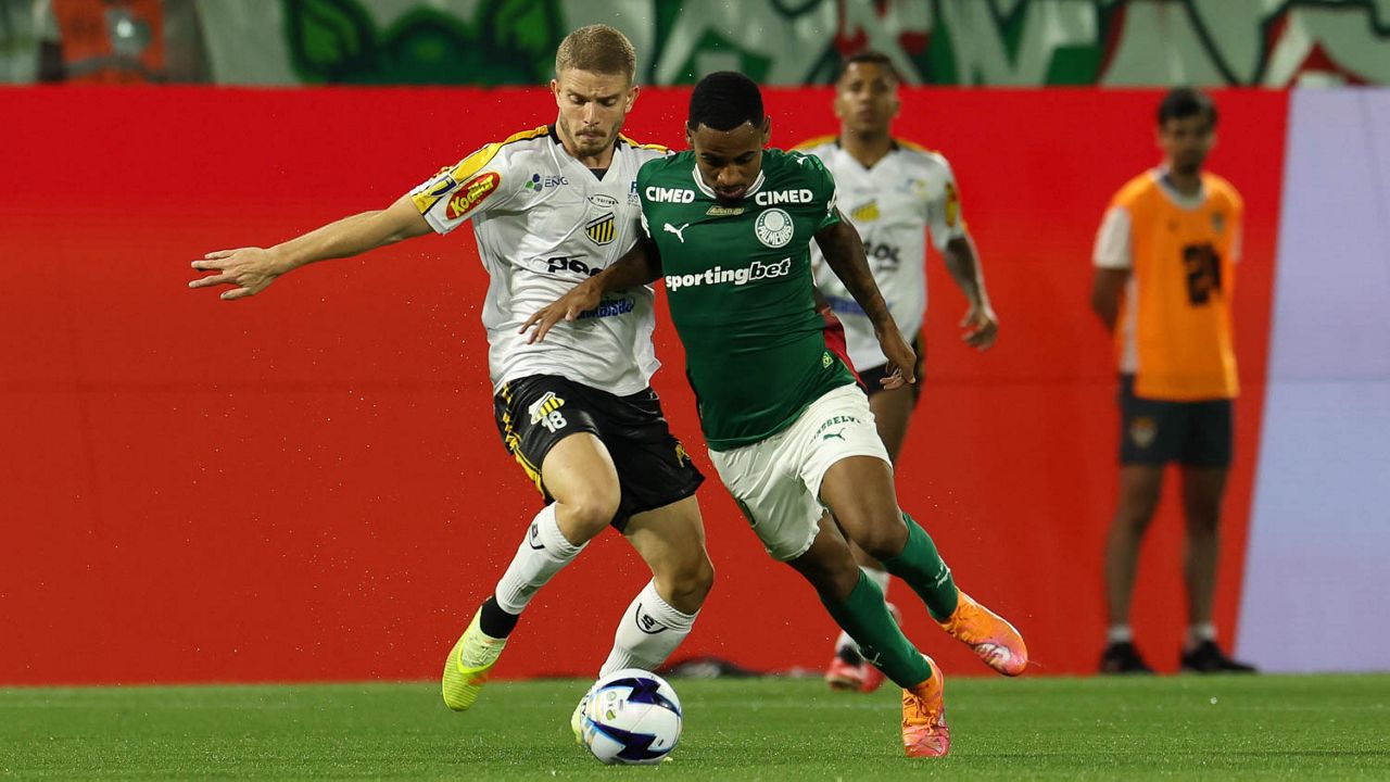 Palmeiras x Novorizontino 2026