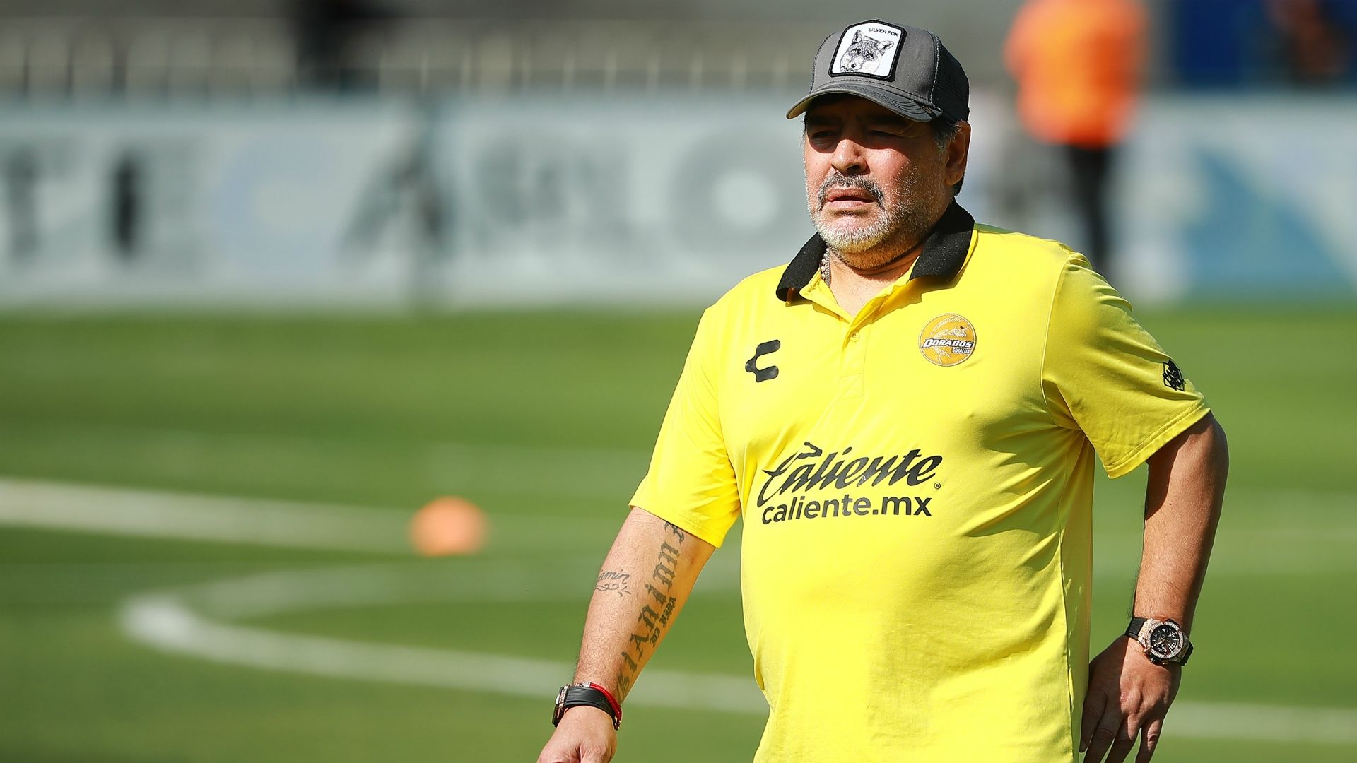Diego Maradona Dorados