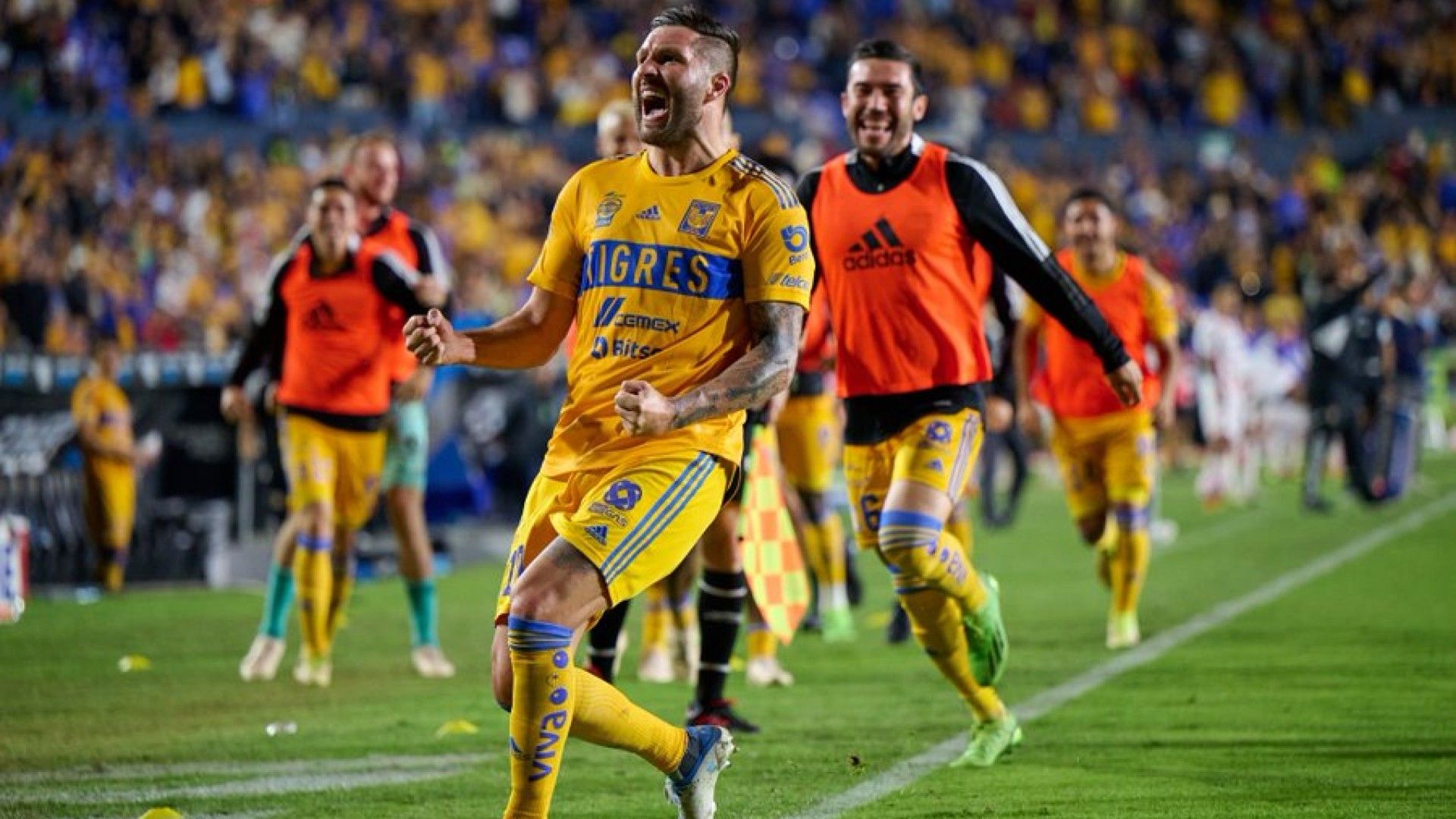 Gignac celebración Apertura 2022