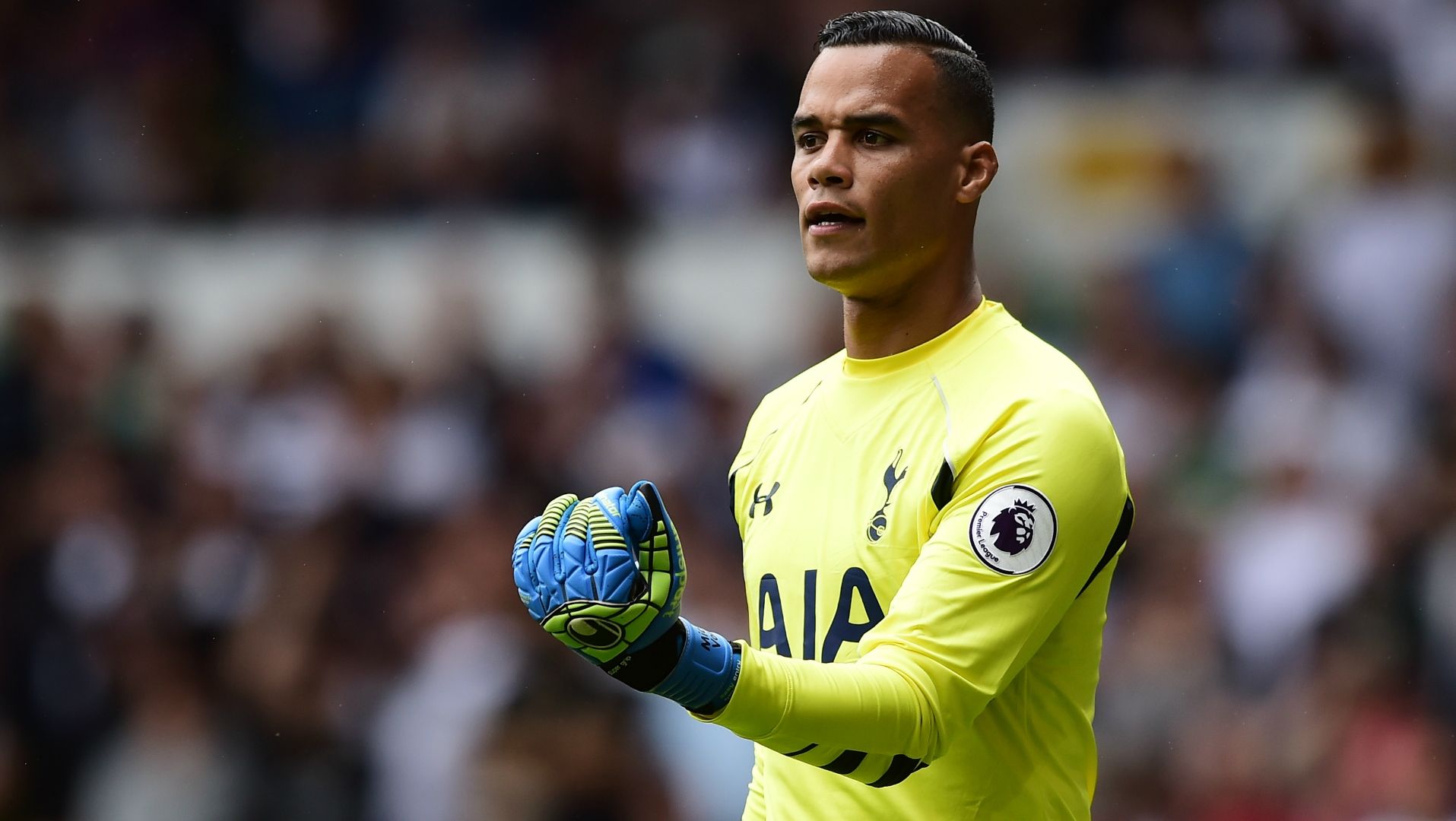 Michel Vorm, Tottenham Hotspur, Premier League, 20160820