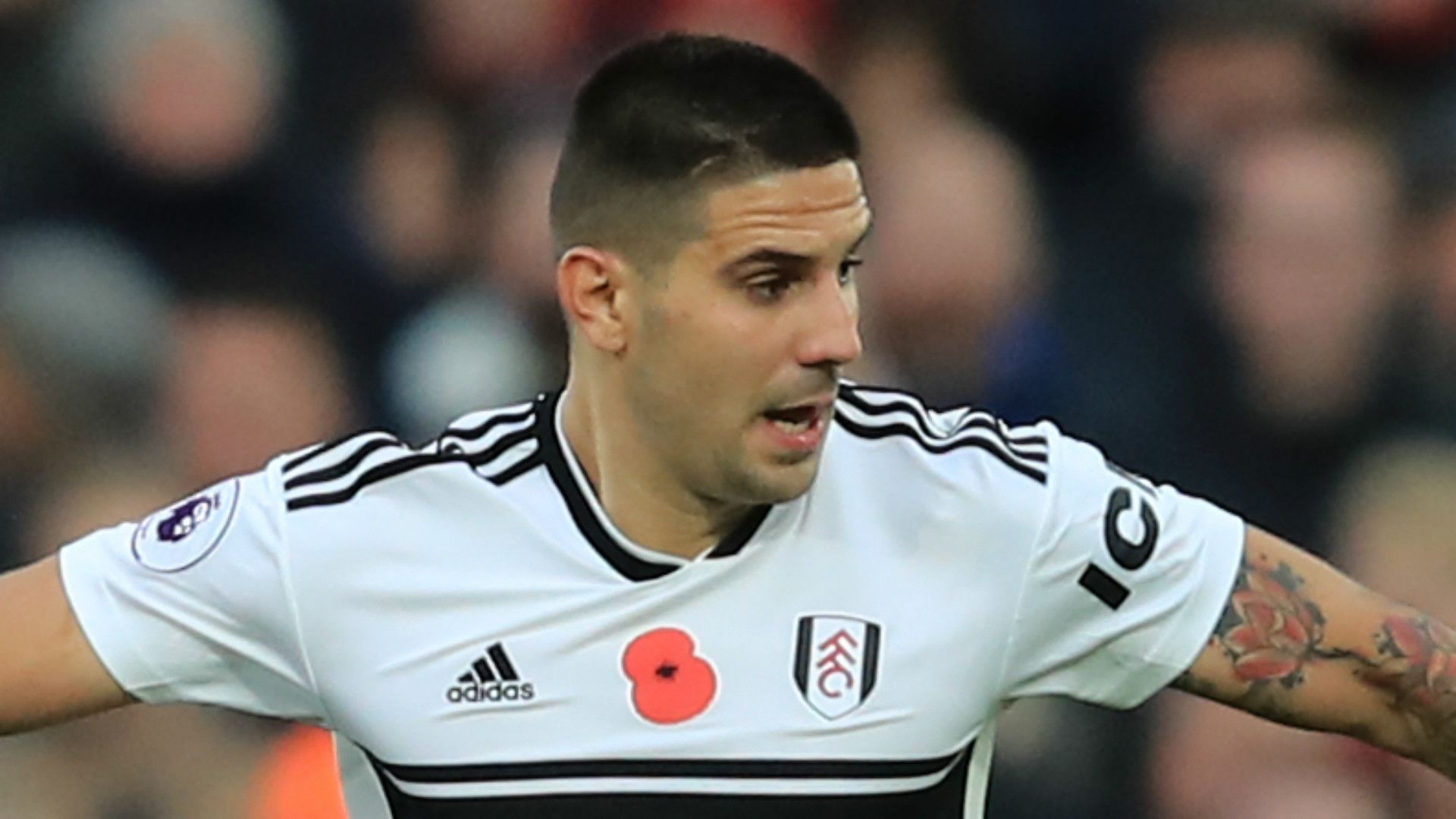 Aleksandar Mitrovic Fulham 2018-19