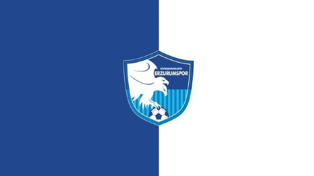 BB Erzurumspor logo
