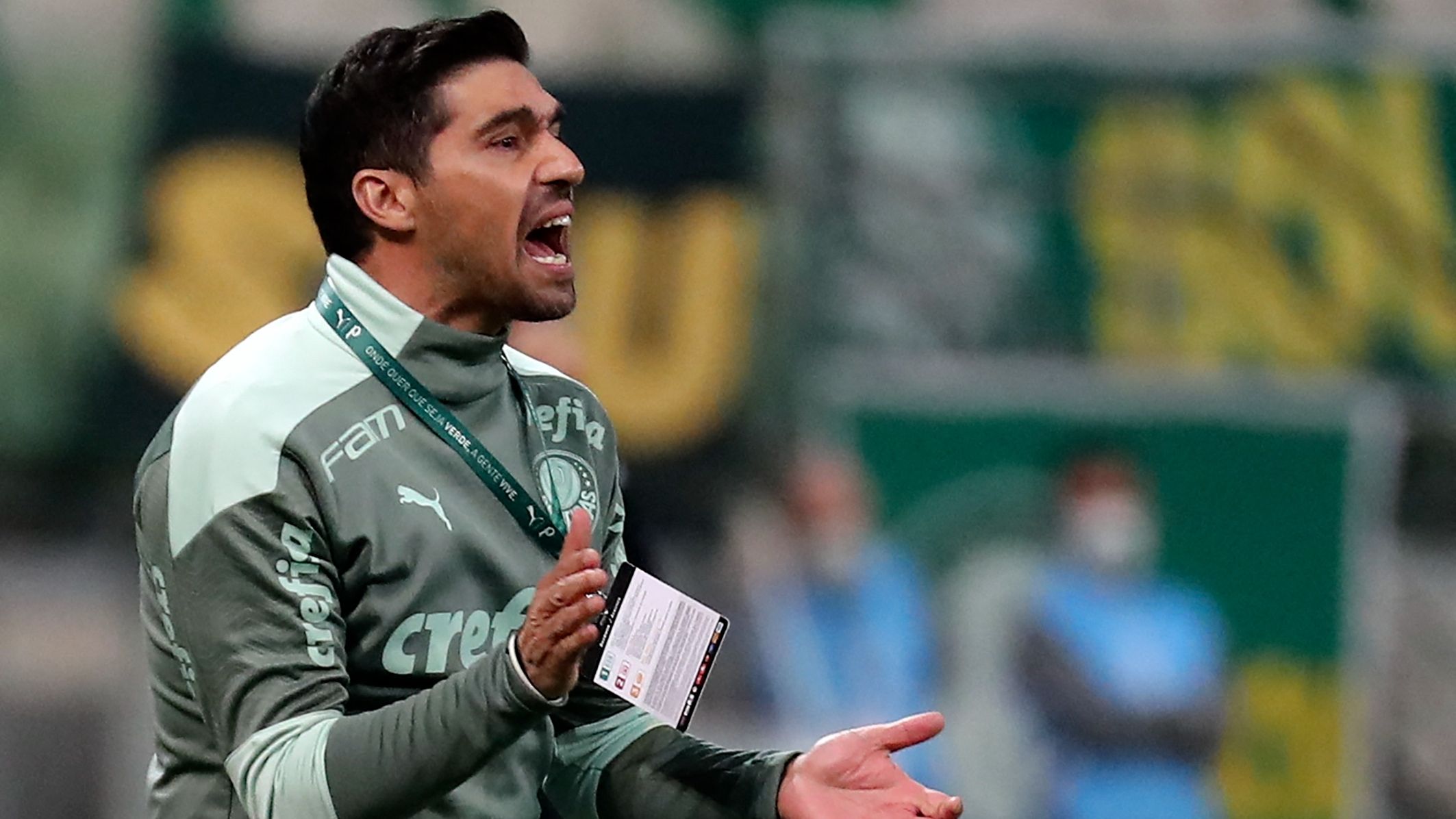 Abel Ferreira Palmeiras