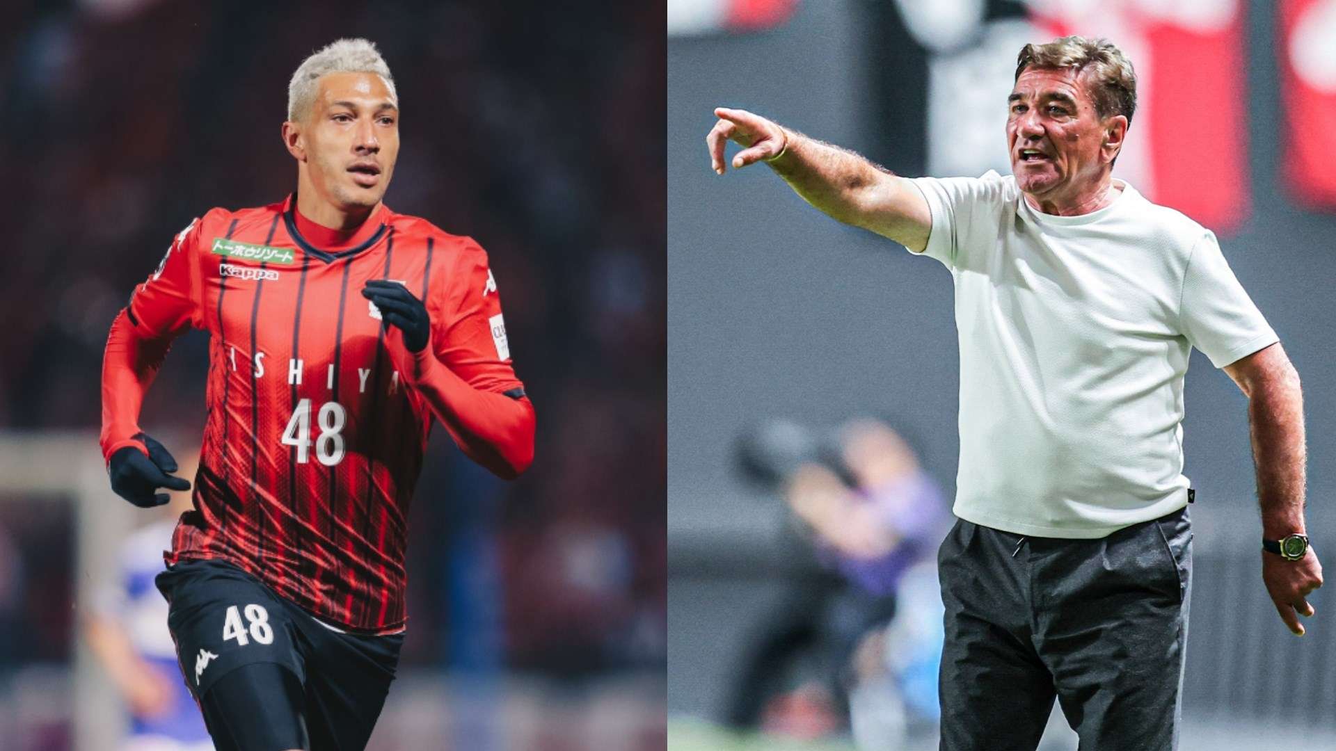 เจย์ โบธรอยด์ - มิไฮโล เปโตรวิช