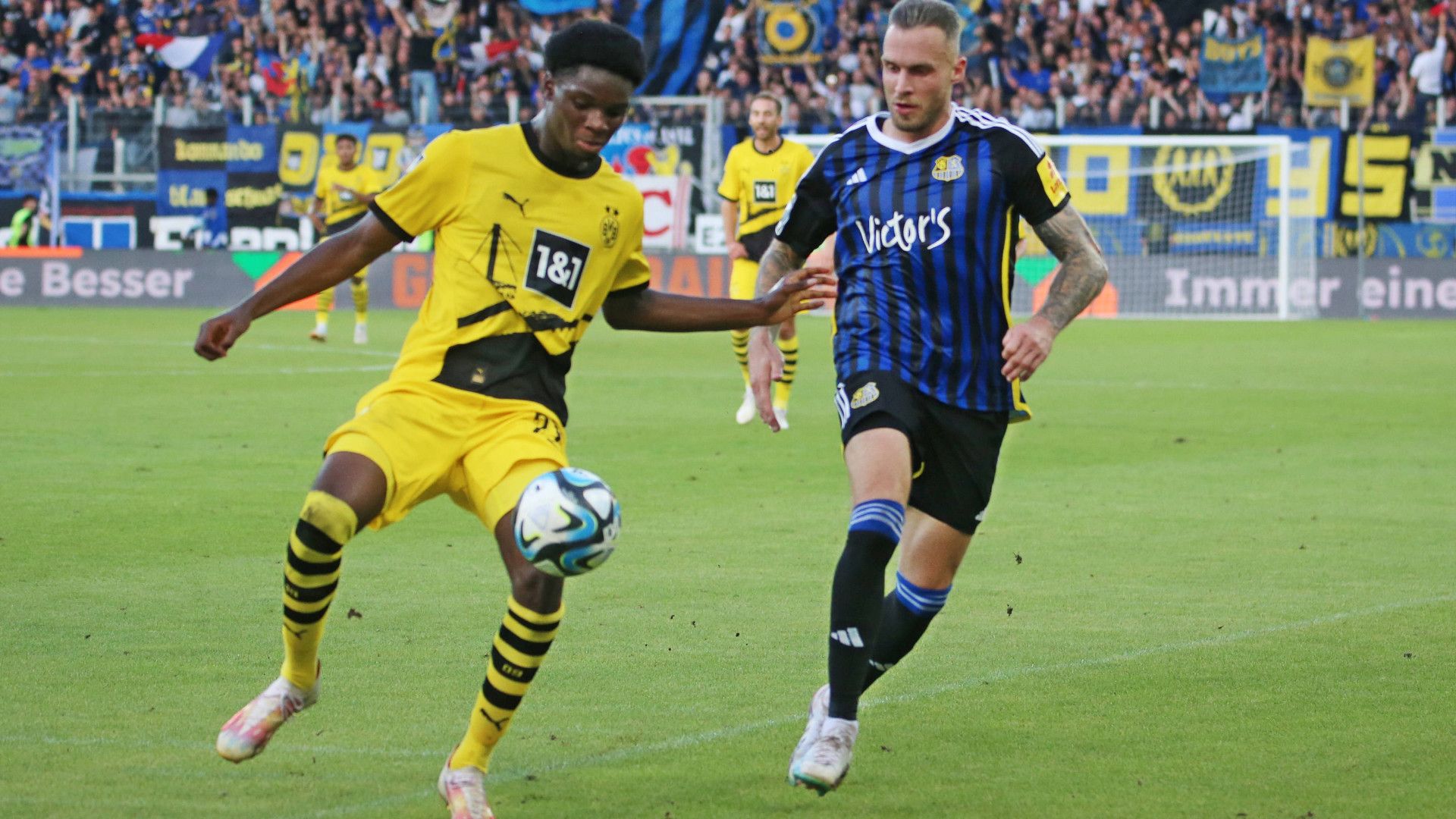 GERMANY ONLY: HENDRY BLANK BORUSSIA DORTMUND