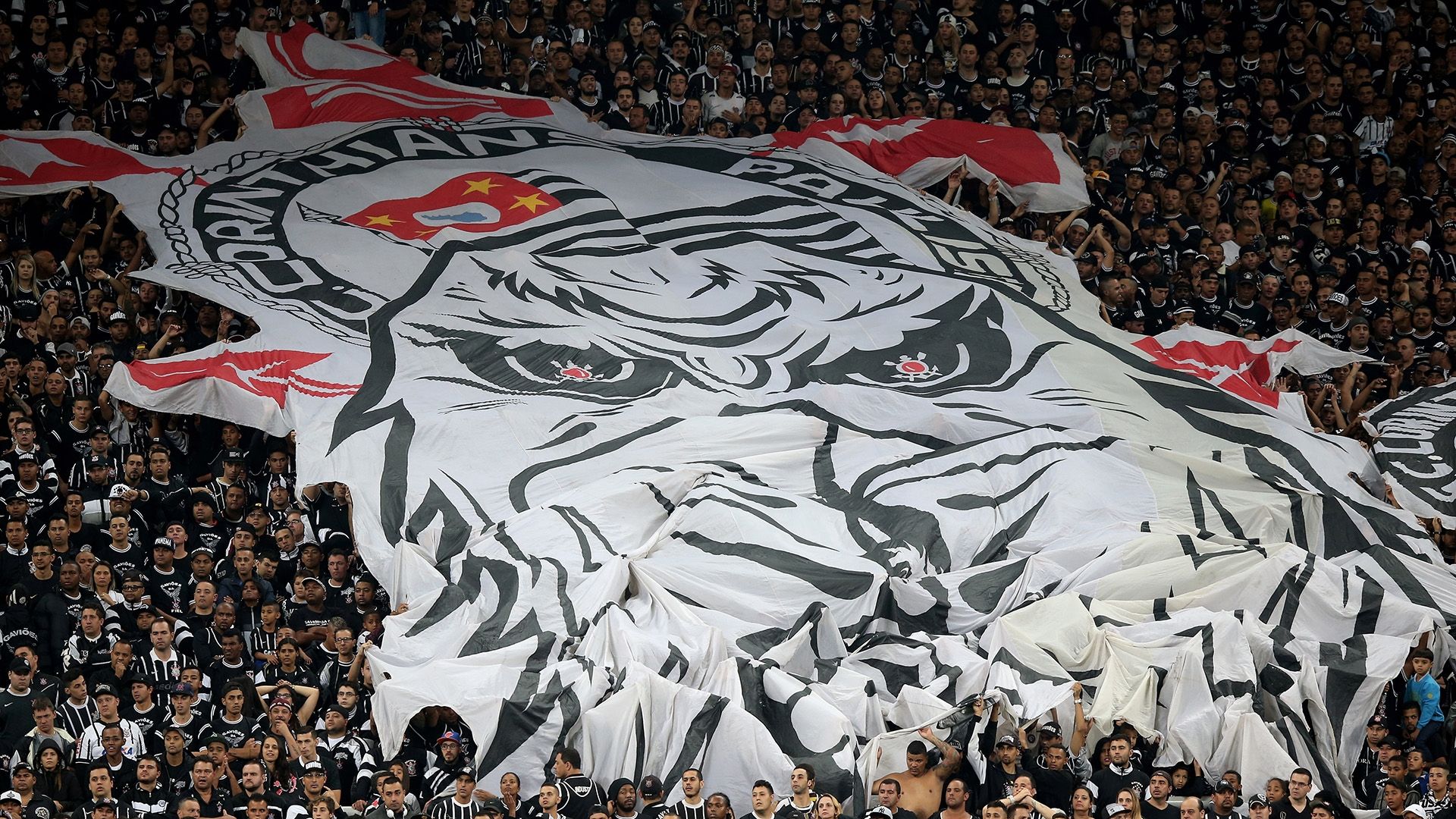 Torcida Corinthians Coritiba Campeonato Brasileiro 07112015