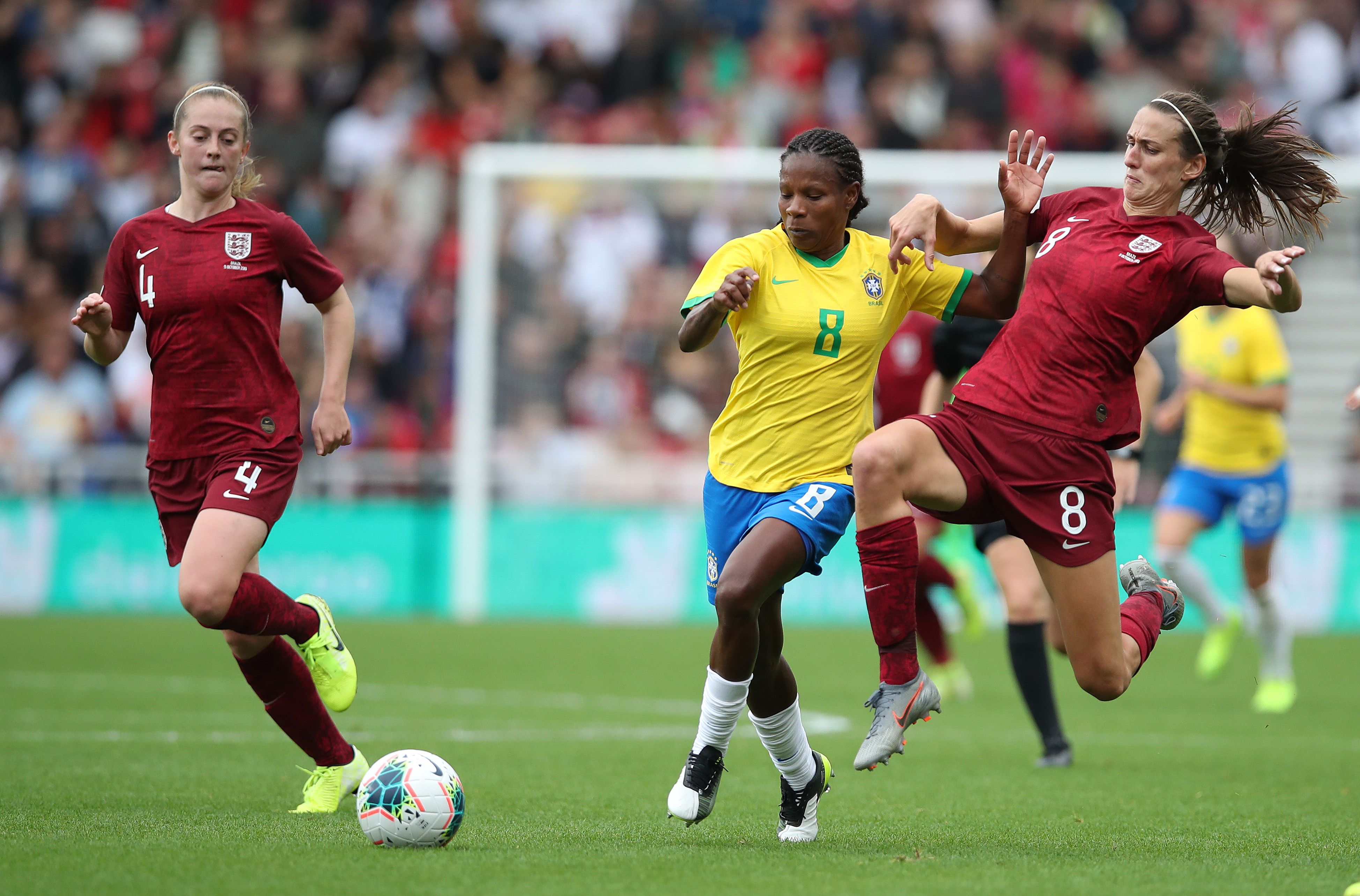 Formiga Brasil Inglaterra