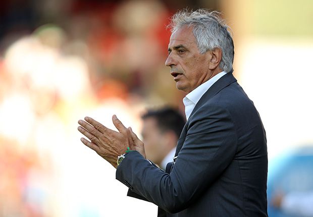 Vahid Halilhodzic Algeria