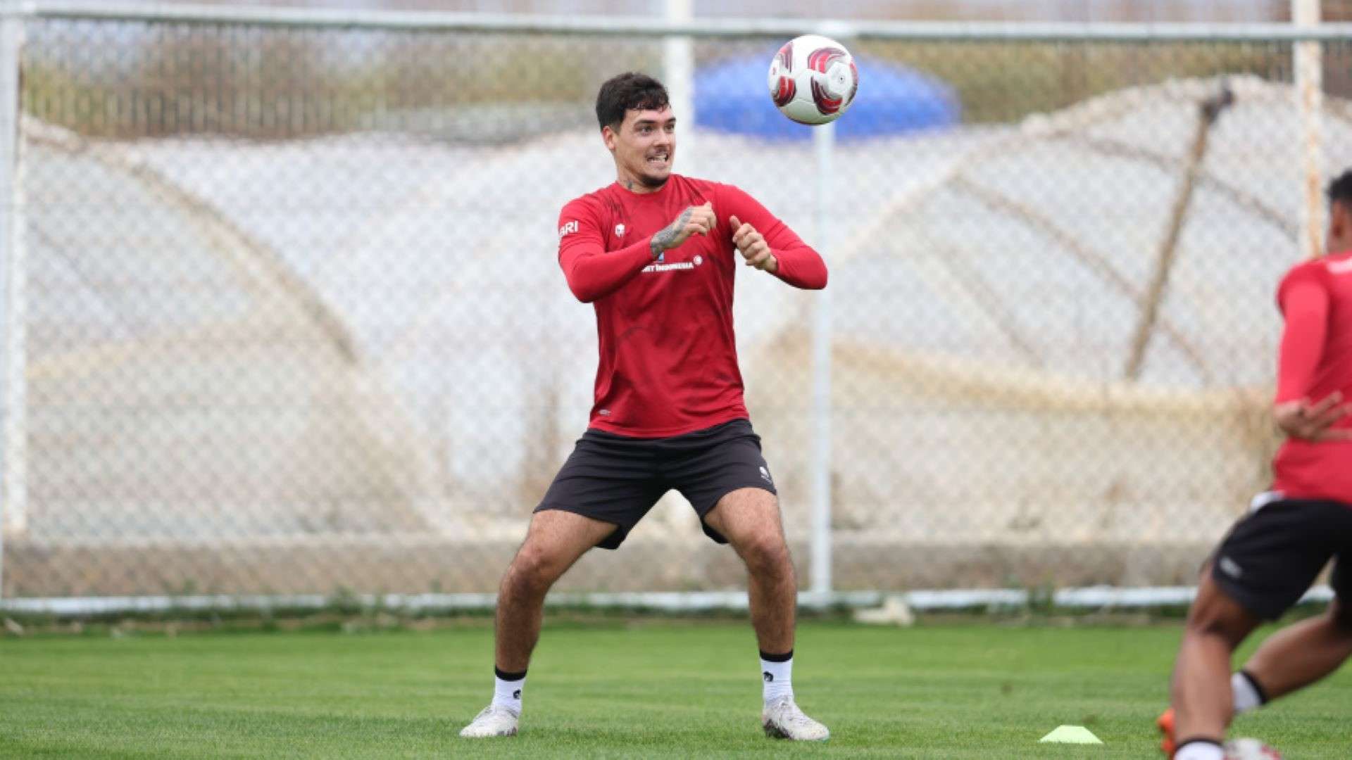 Shayne Pattynama - Timnas Indonesia