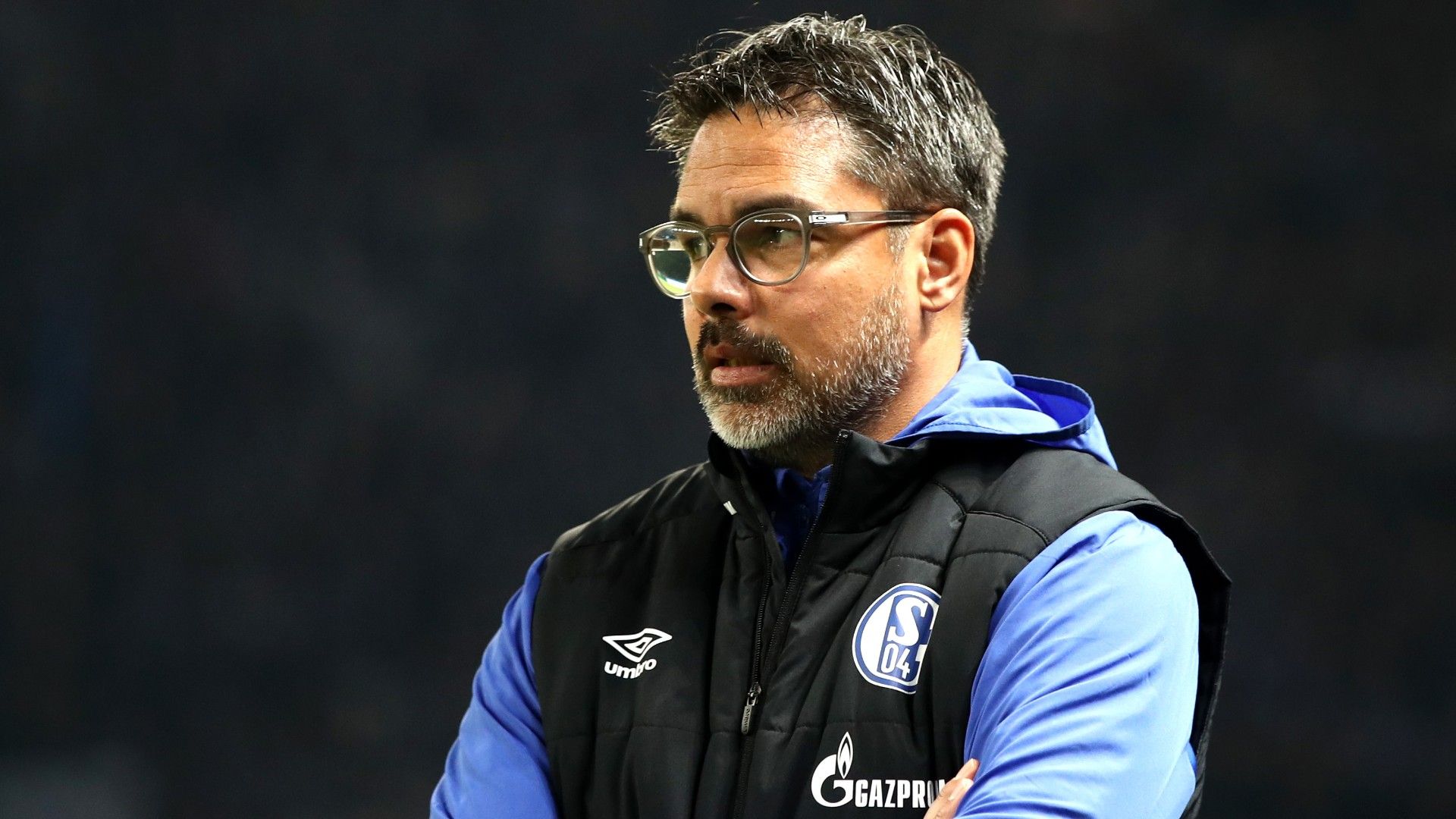 David Wagner Schalke 04 Bundesliga