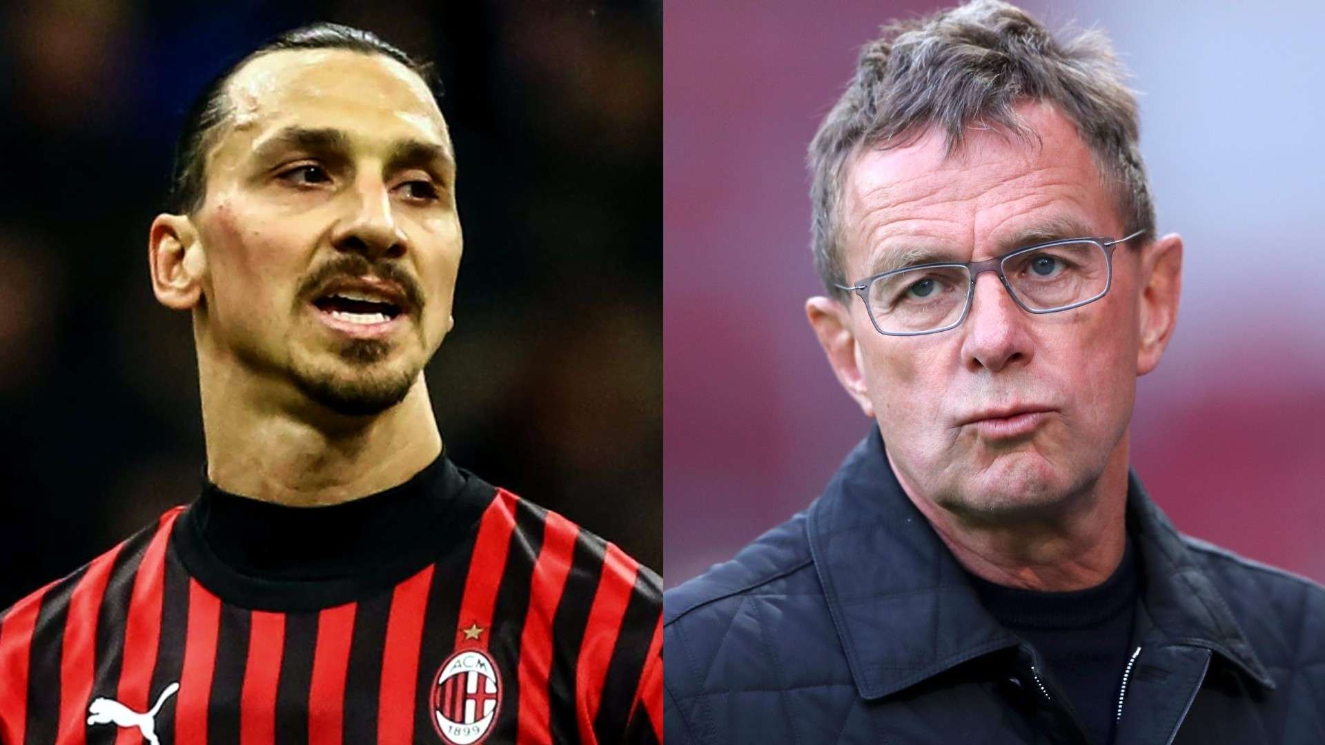 milan-ibrahimovic-rangnick